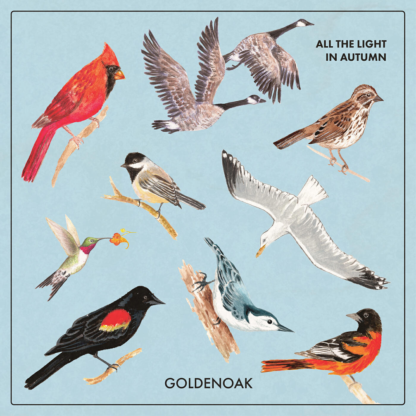 Релиз All the Light in Autumn