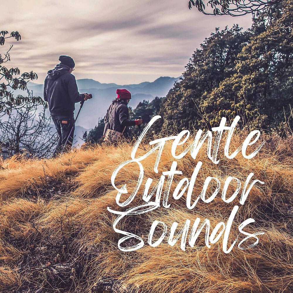 Релиз Gentle Outdoor Sounds