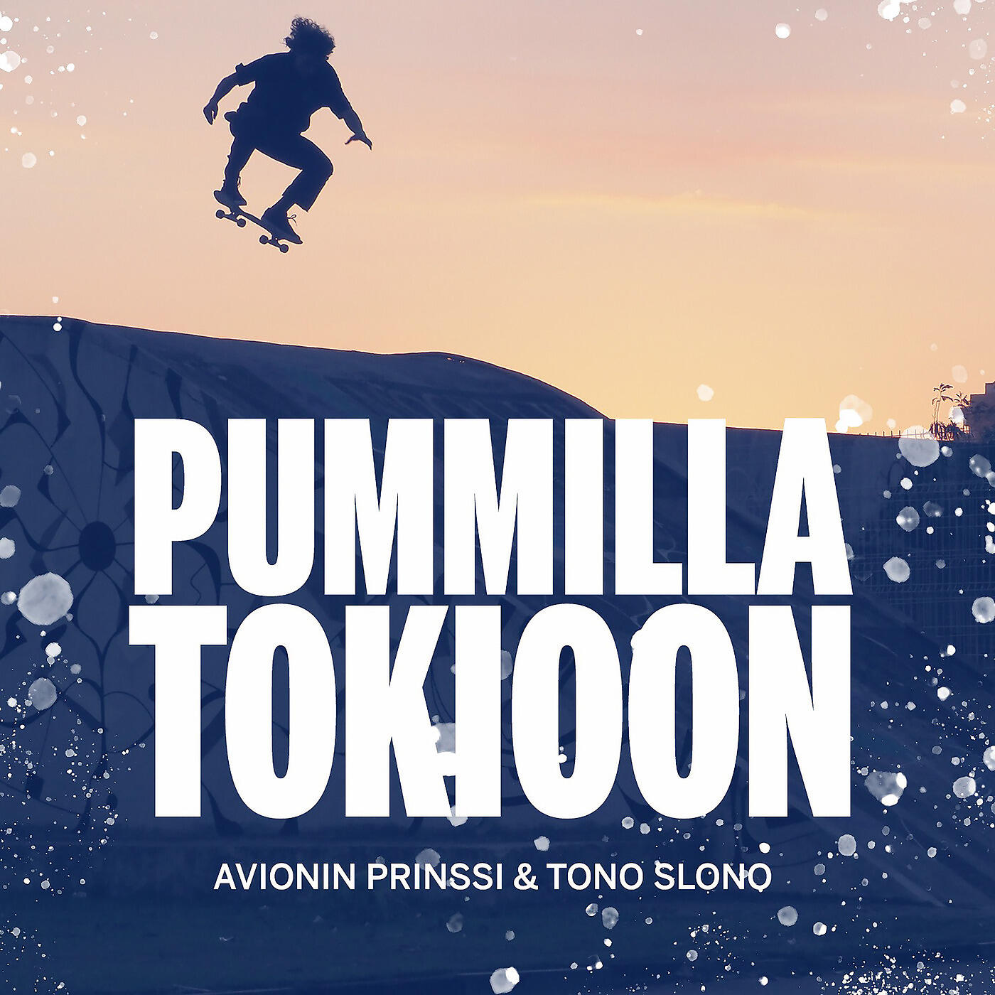 Avionin Prinssi