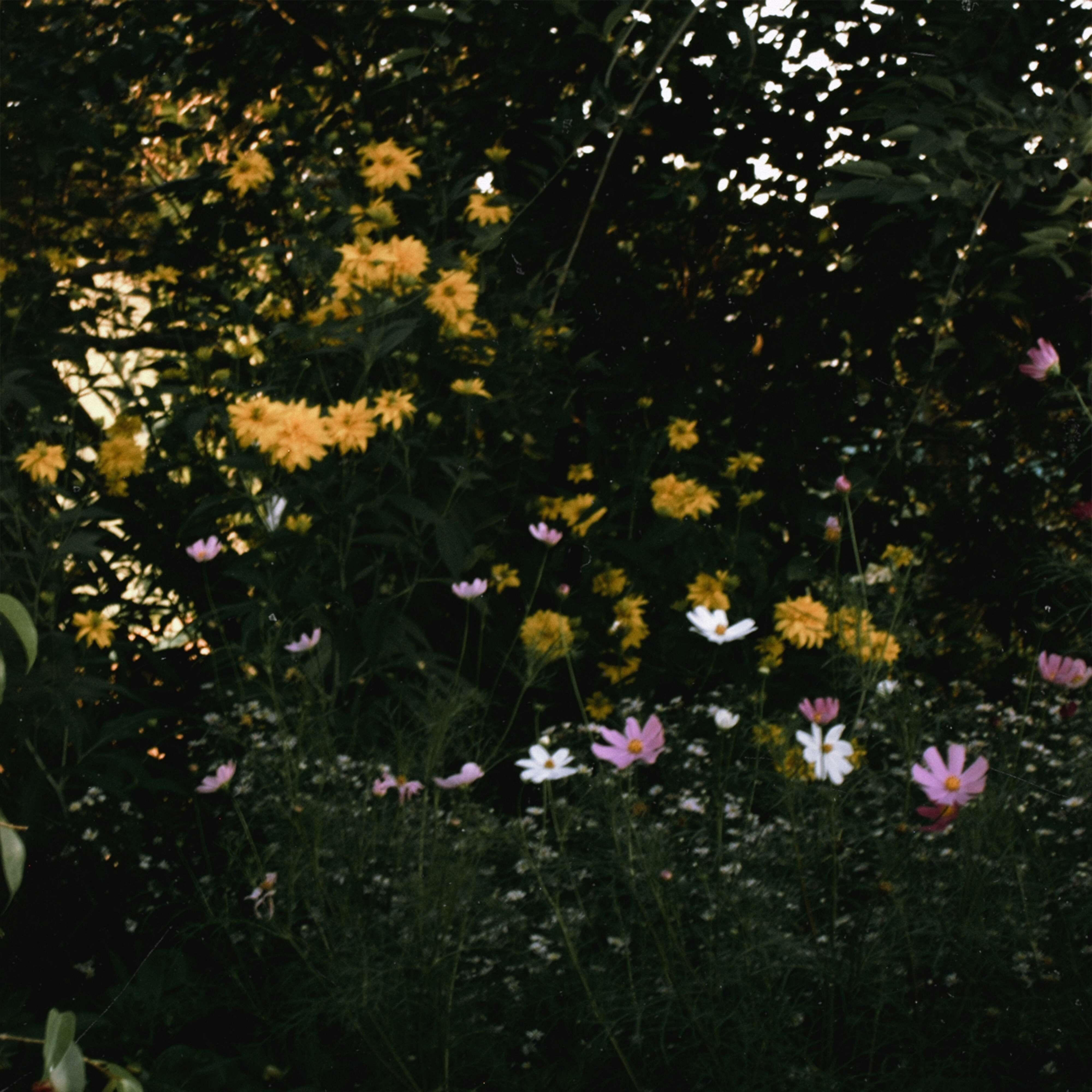 Релиз и сны цикличны как петля