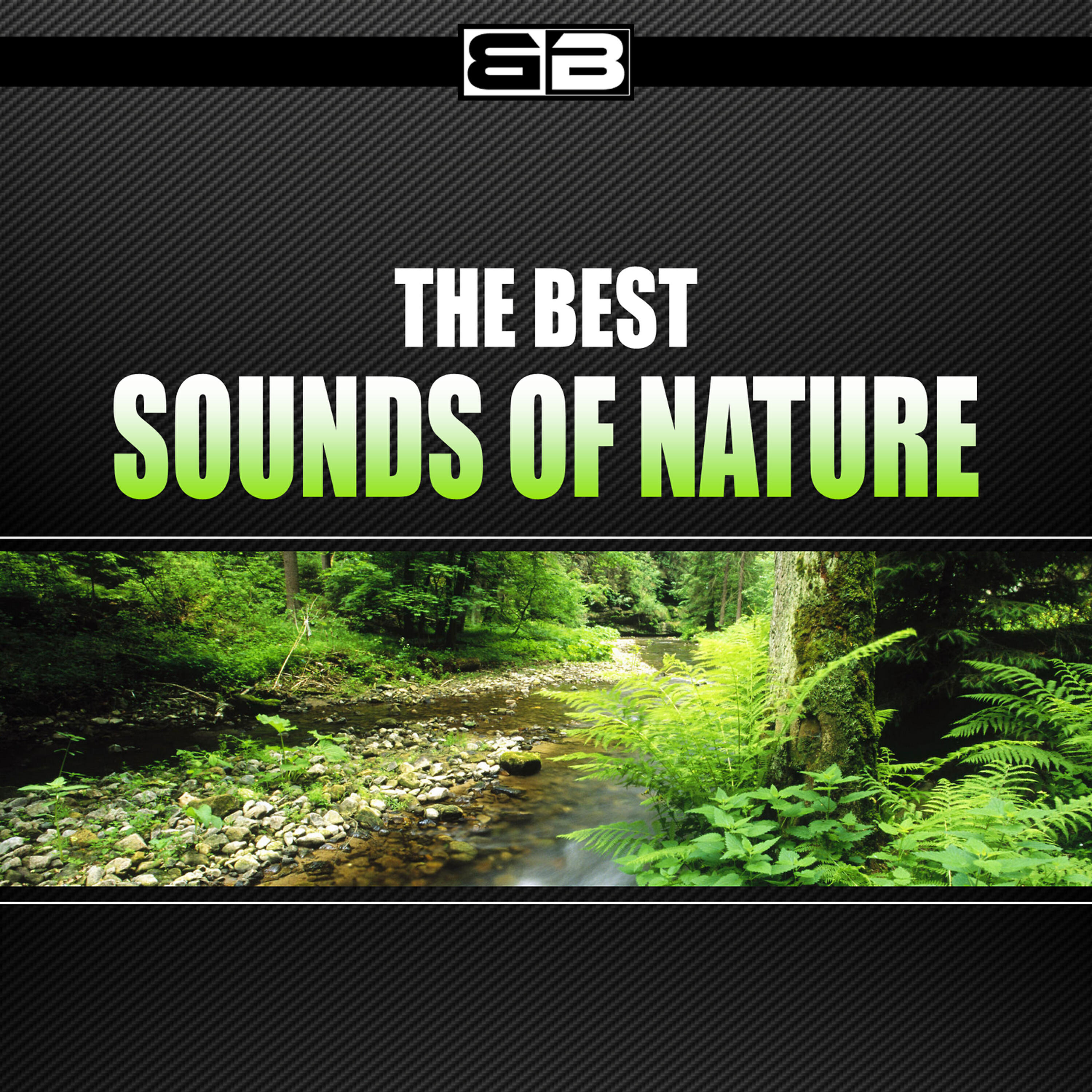 Релиз The Best Sounds of Nature
