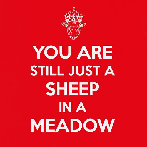 Релиз You Are Still Just a Sheep in a Meadow