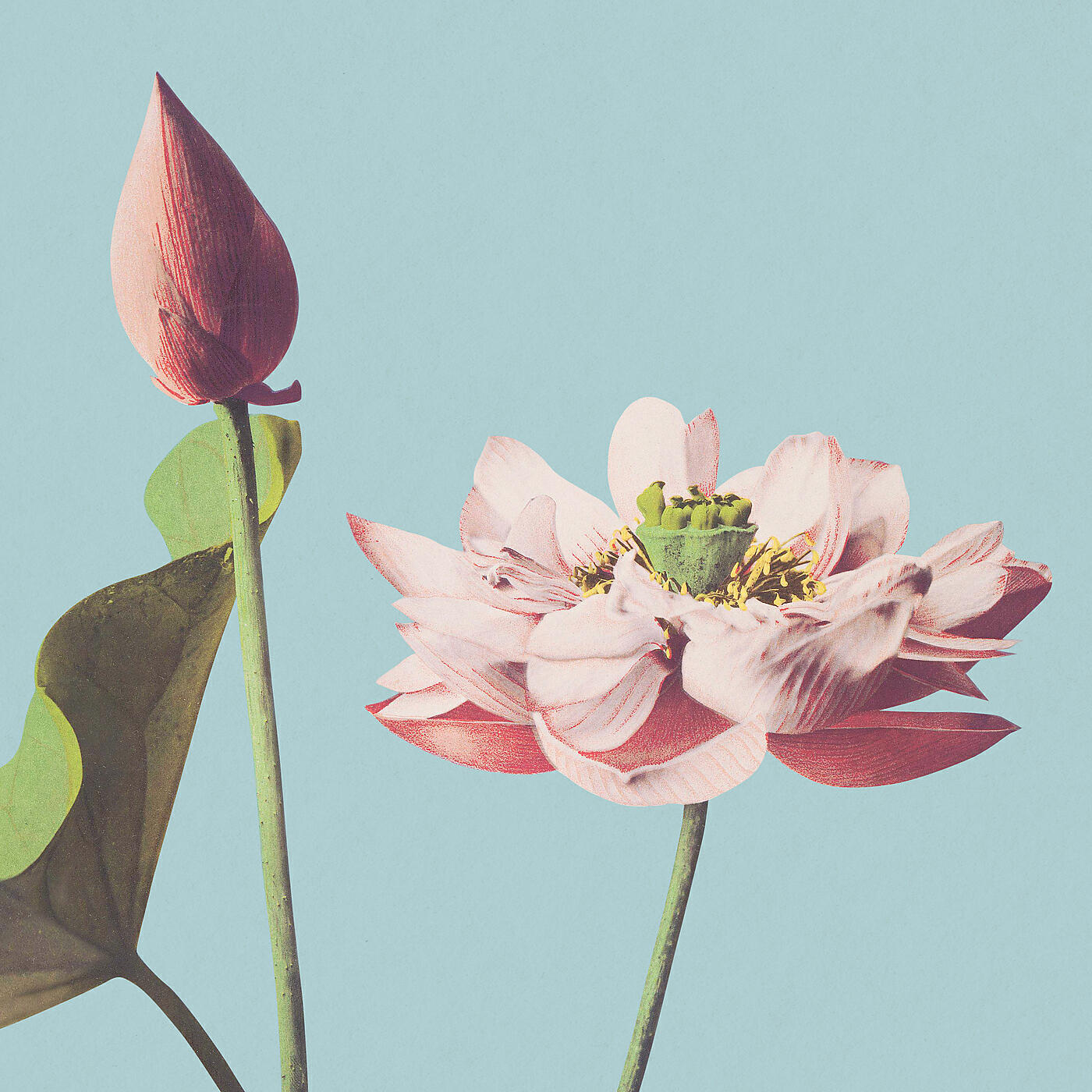 Релиз Infinite Spring