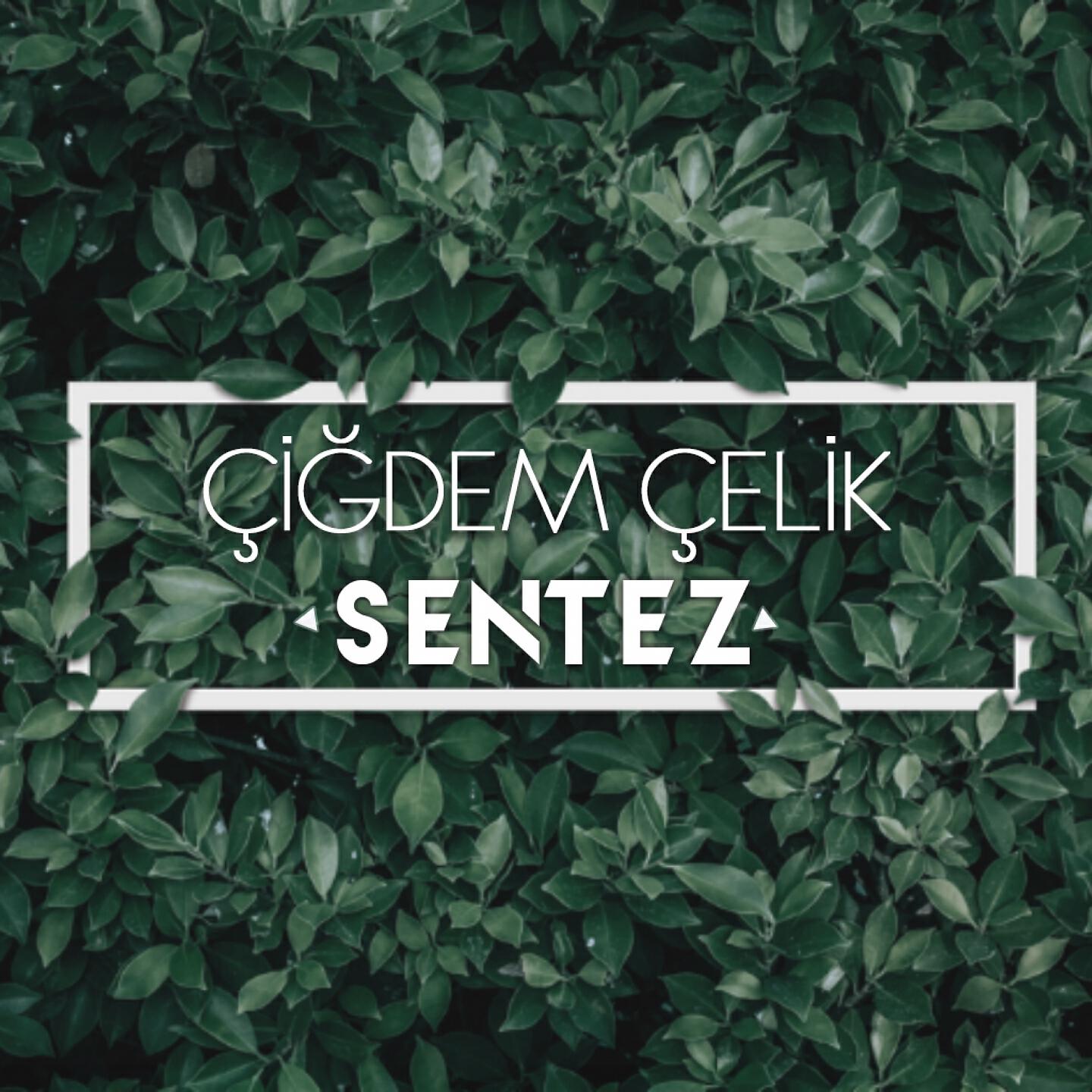Релиз Sentez