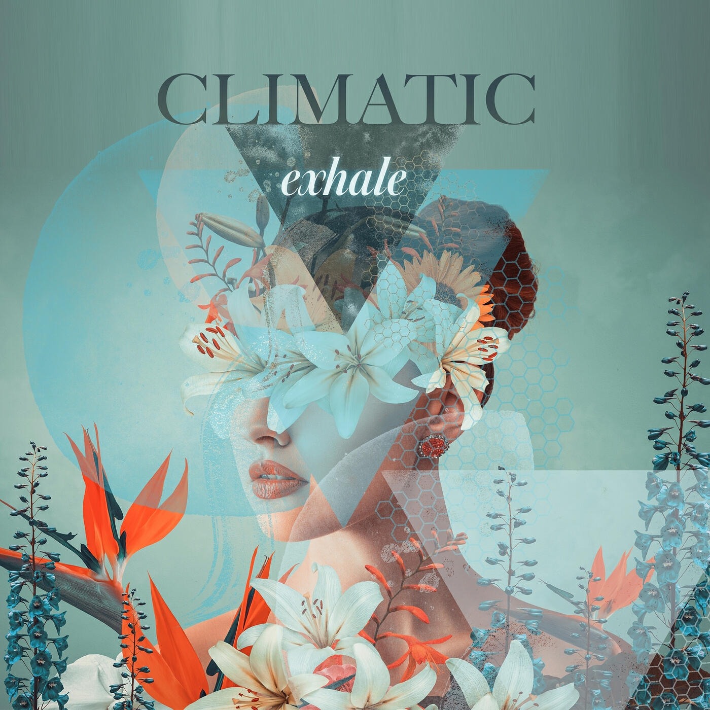 Релиз Exhale