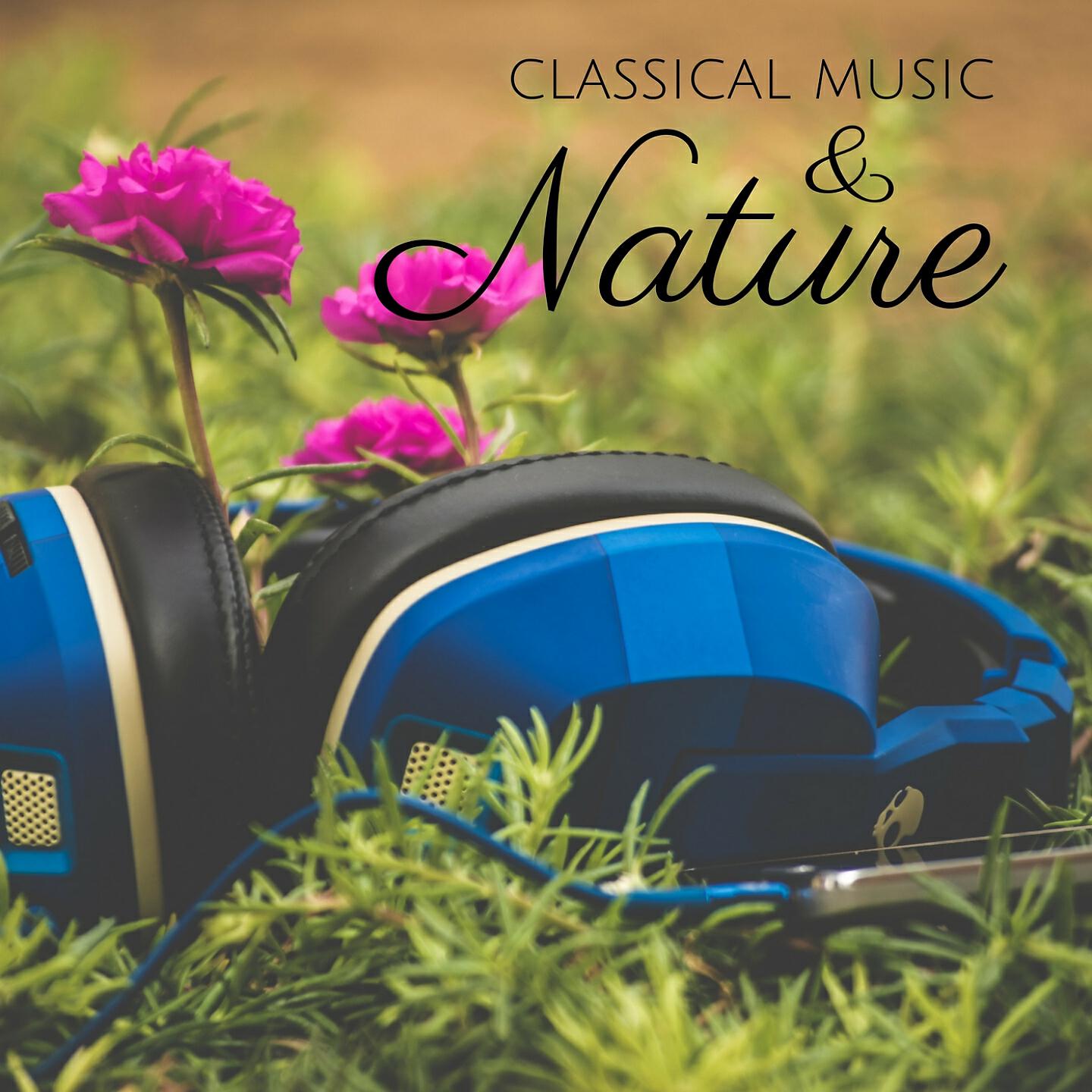 Трек The Four Seasons, Concerto No. 4 in F Minor, RV 297 "Winter": II. Largo