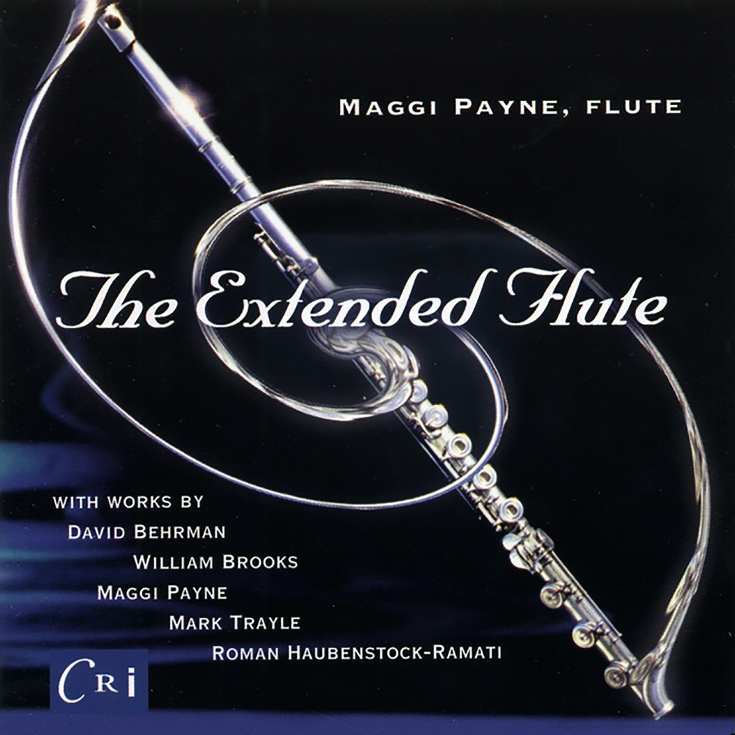 Релиз The Extended Flute