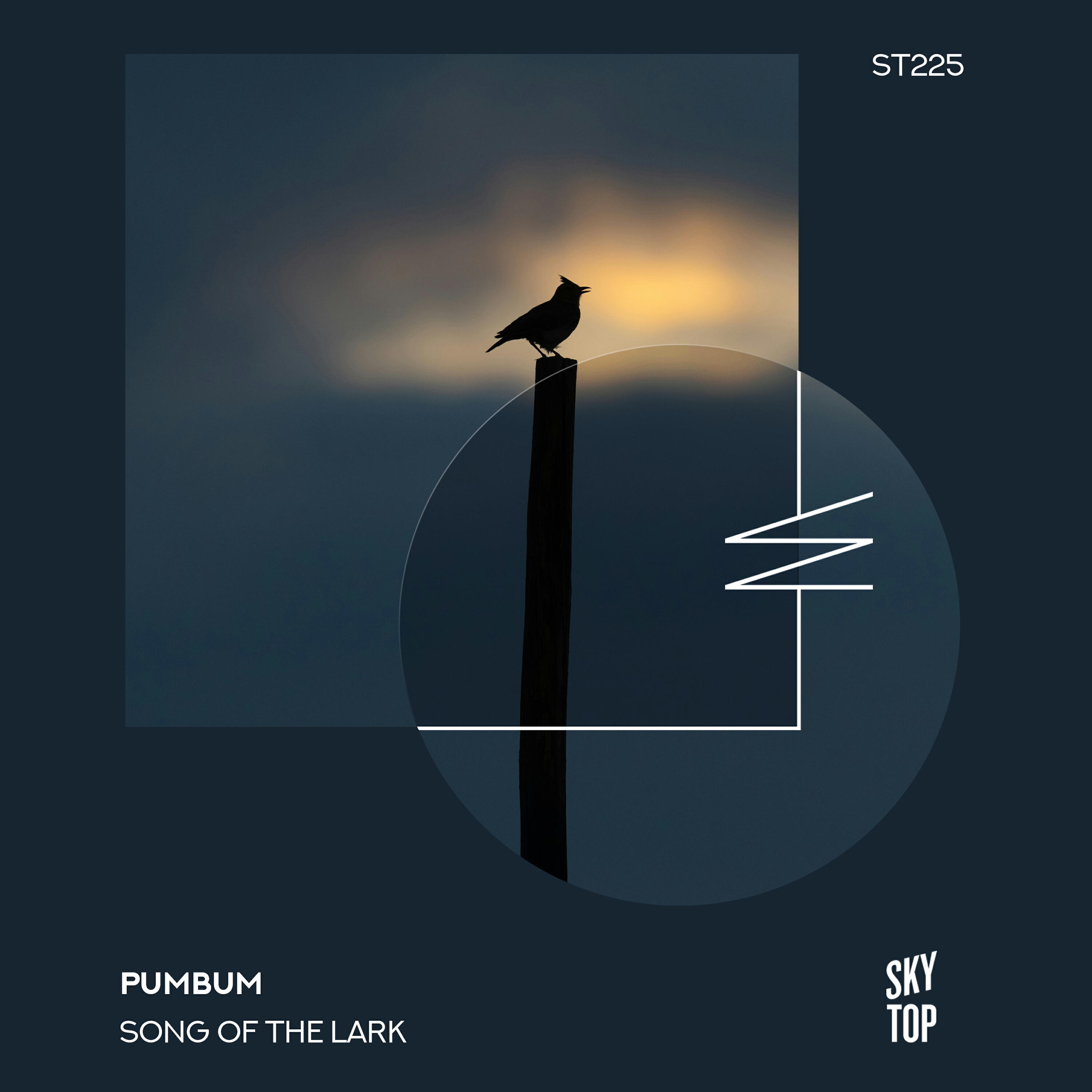 Релиз Song of the Lark