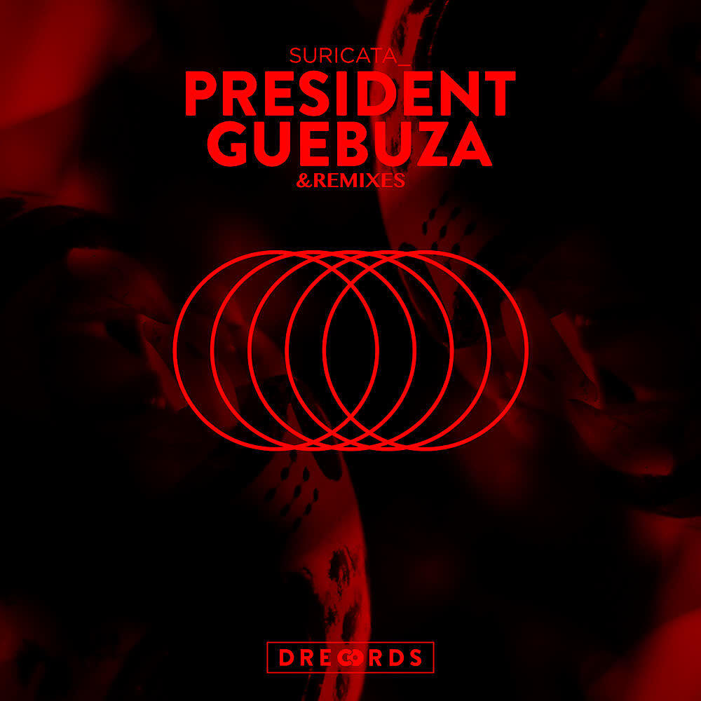 Релиз President Guebuza (Remixes)