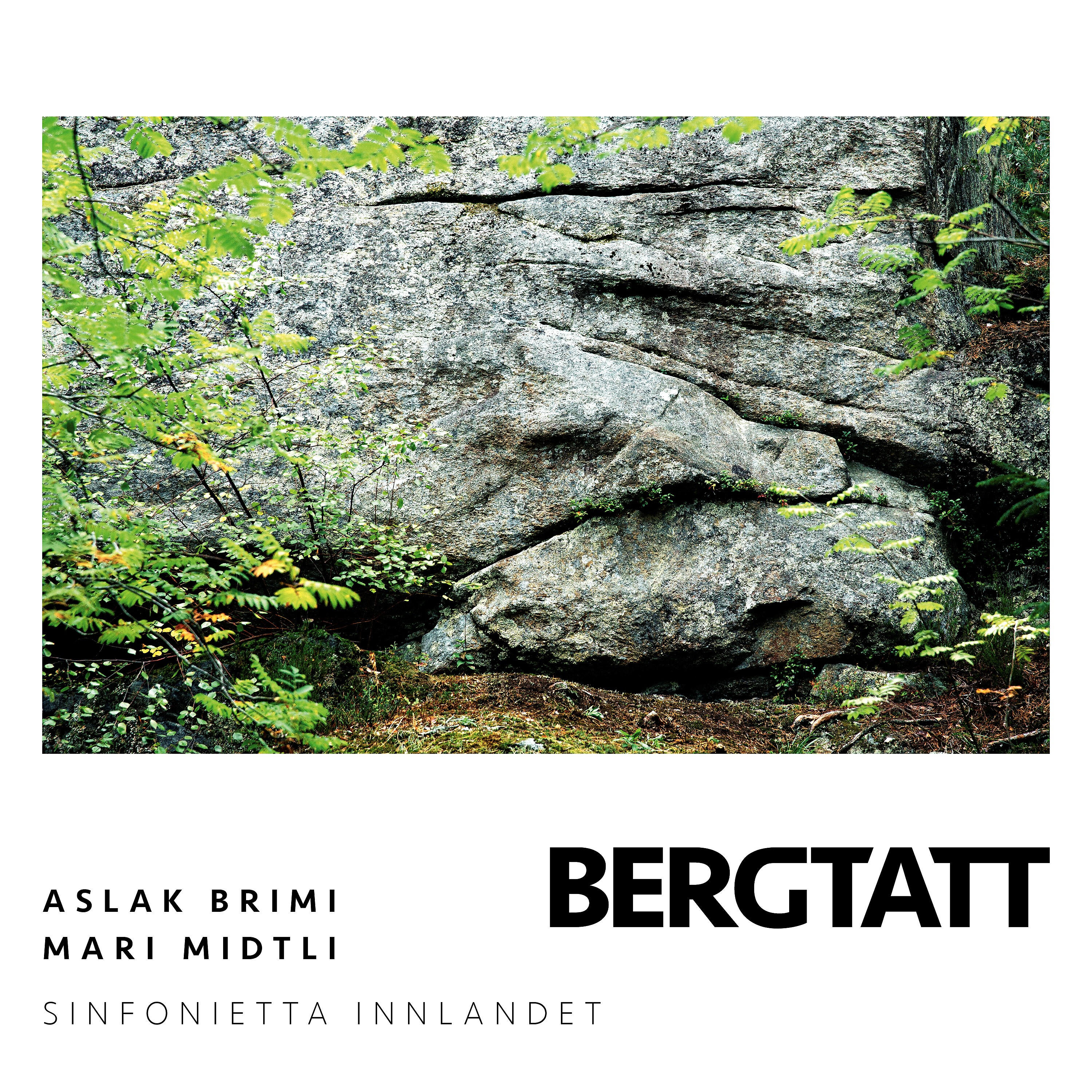 Sinfonietta Innlandet