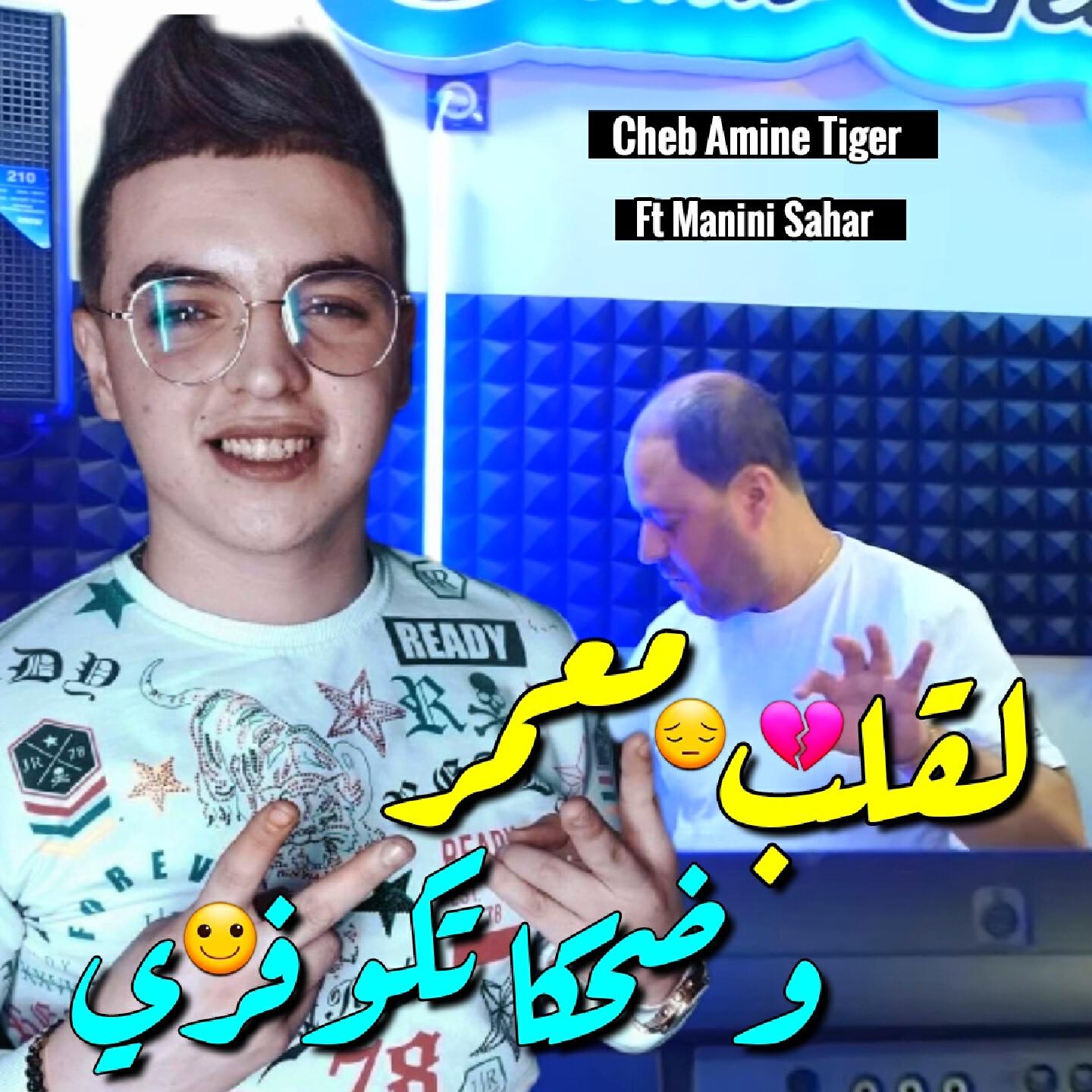 Cheb Amine tiger