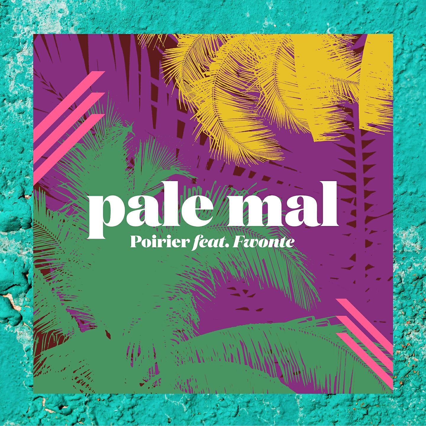 Релиз Pale Mal