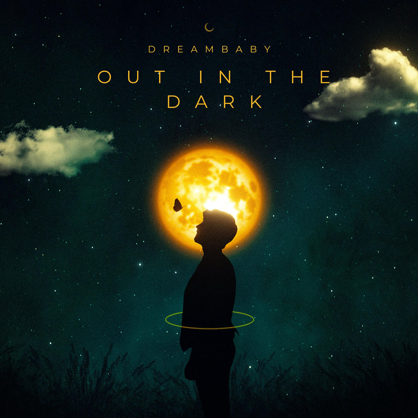 Постер альбома Out in the Dark