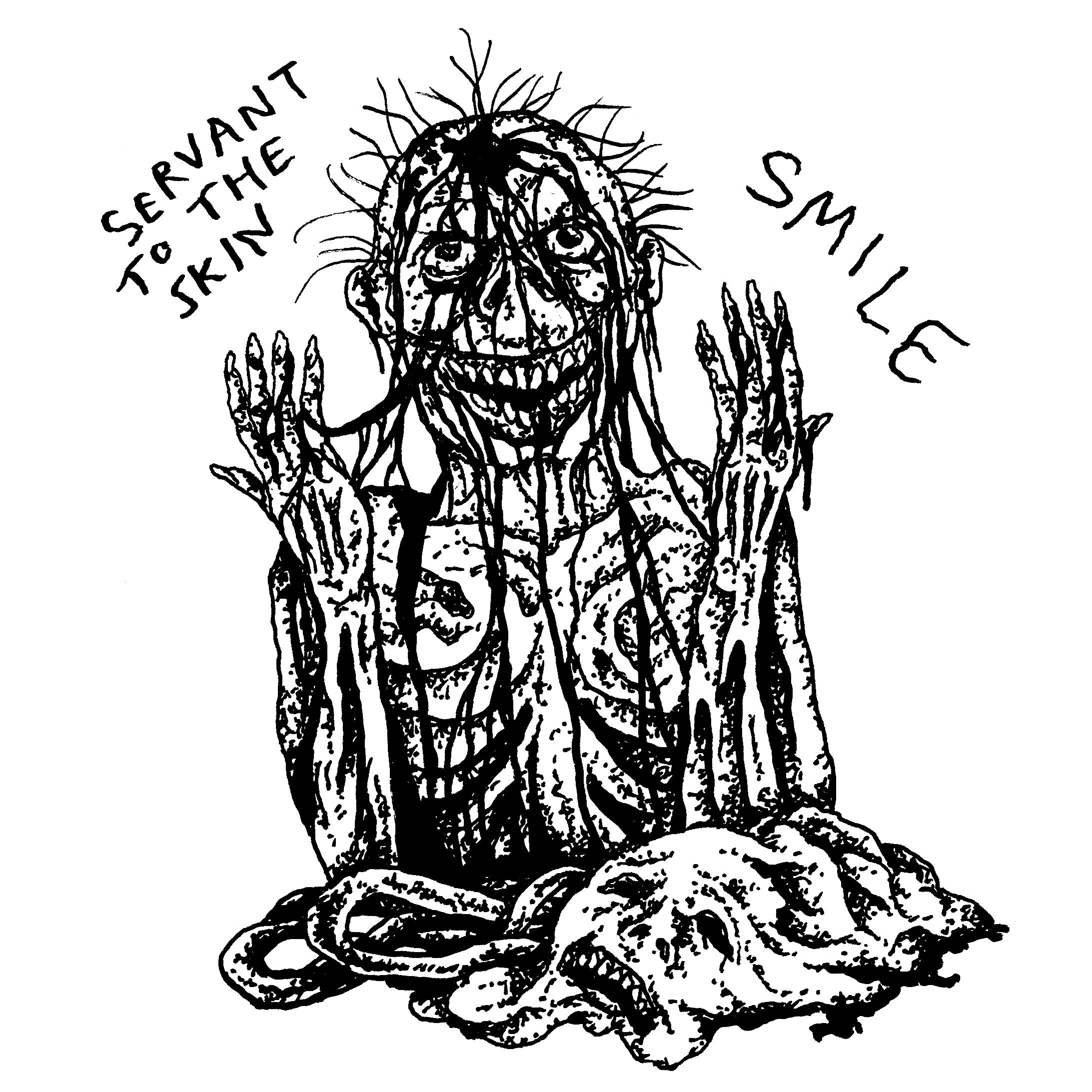Релиз Servant to the Skin