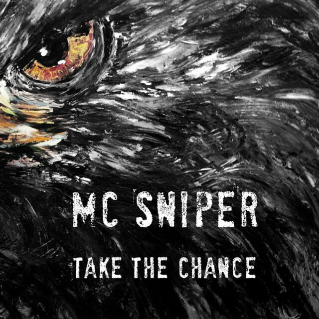Релиз Take the Chance