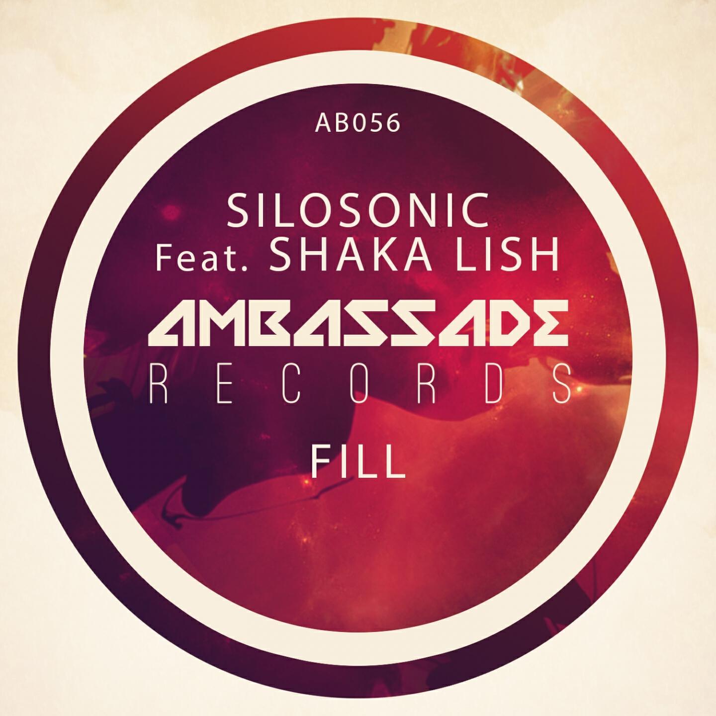 Silosonic
