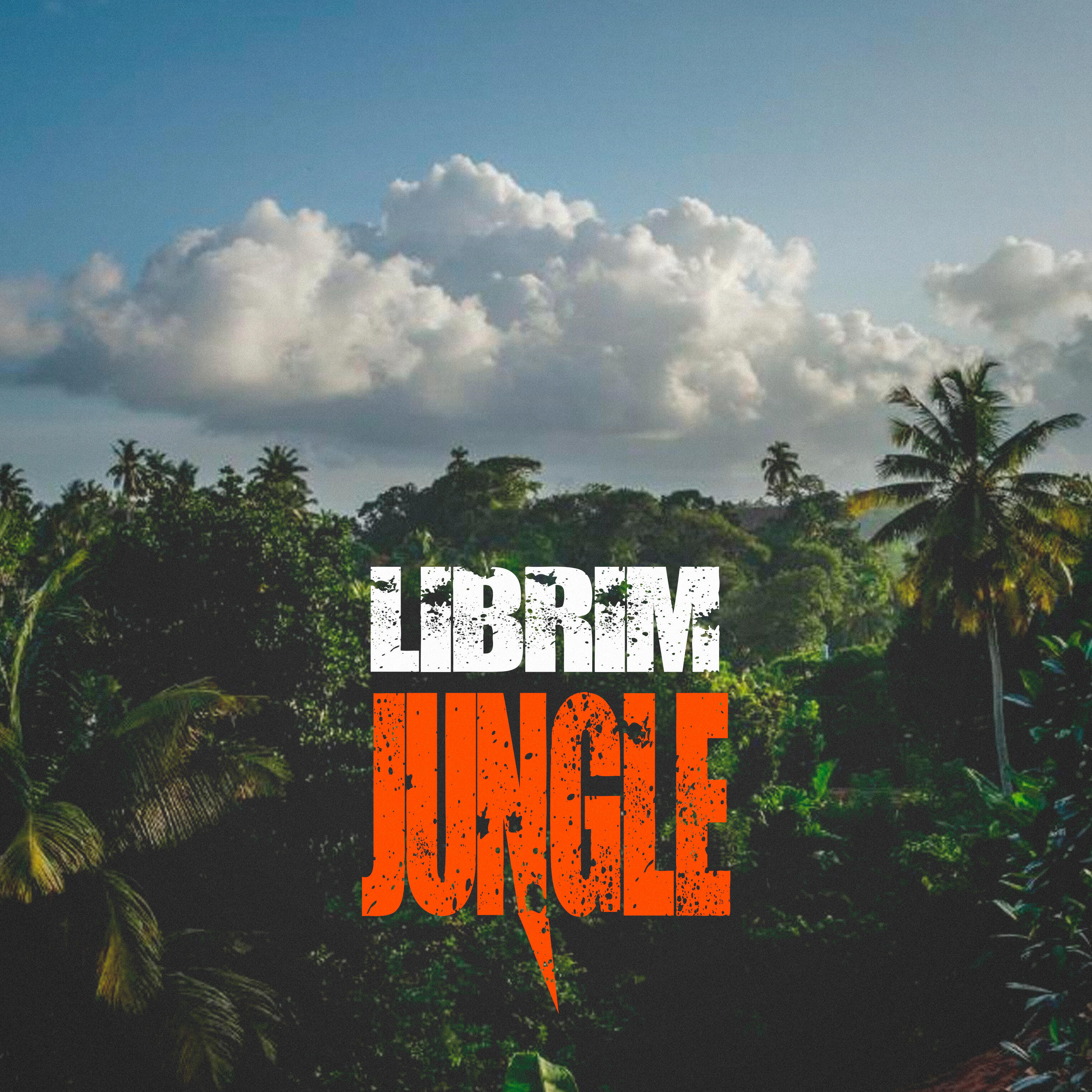 Релиз Jungle