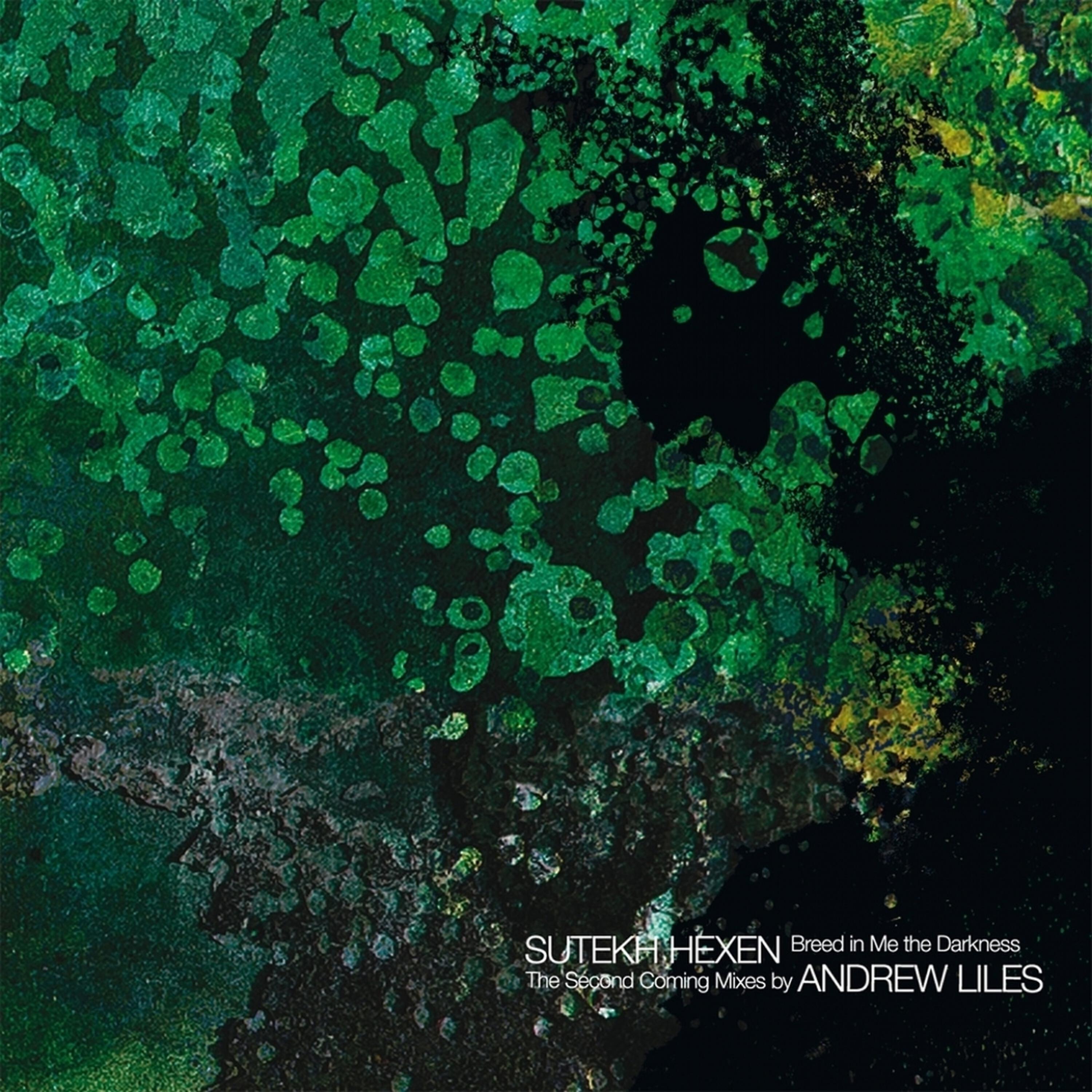 Релиз Breed in Me the Darkness