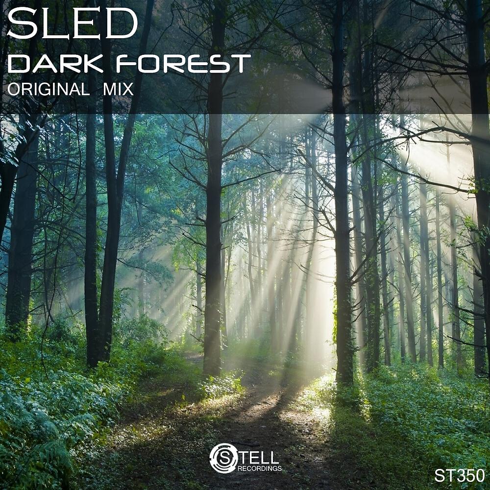 Релиз Dark Forest