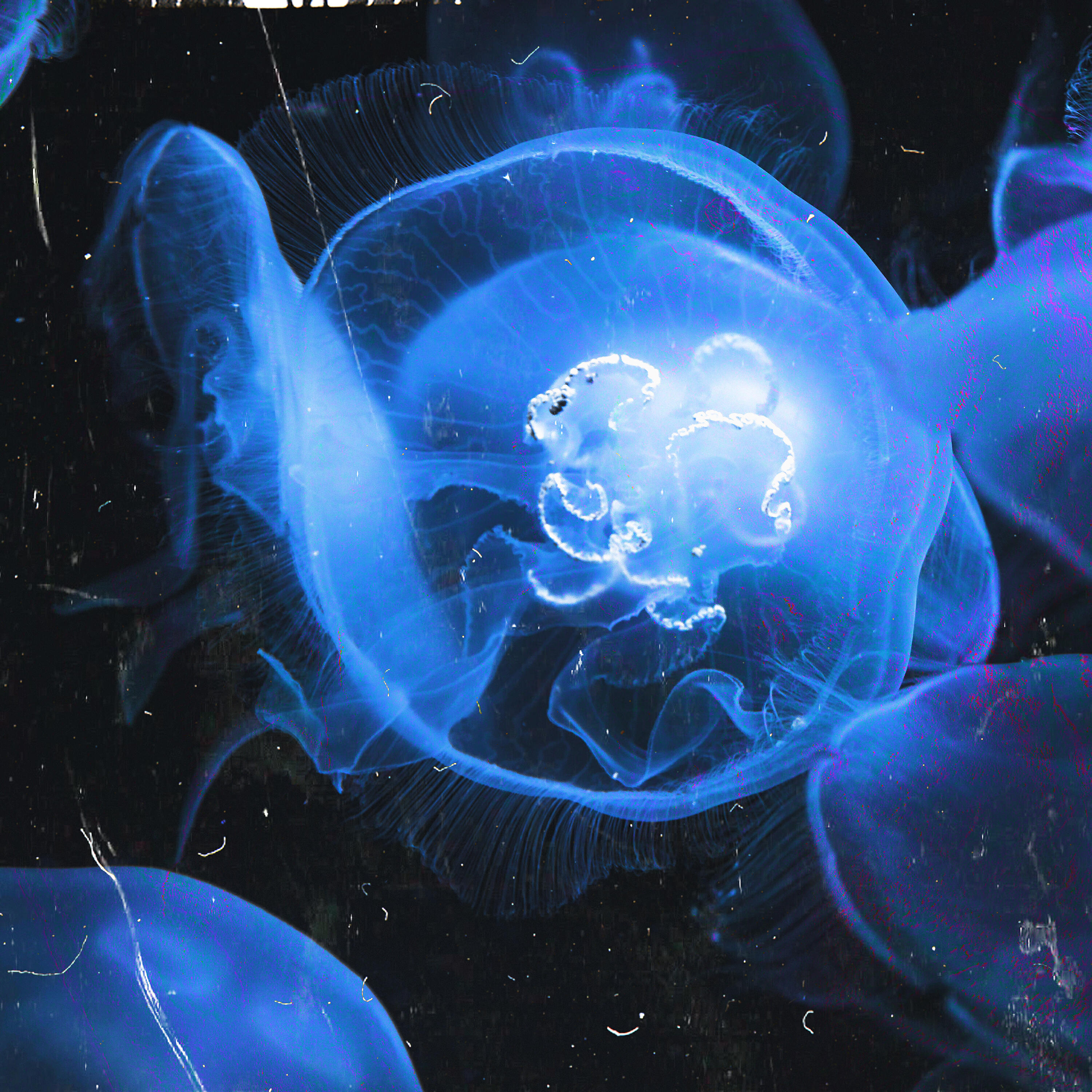 Релиз Unbeknown
