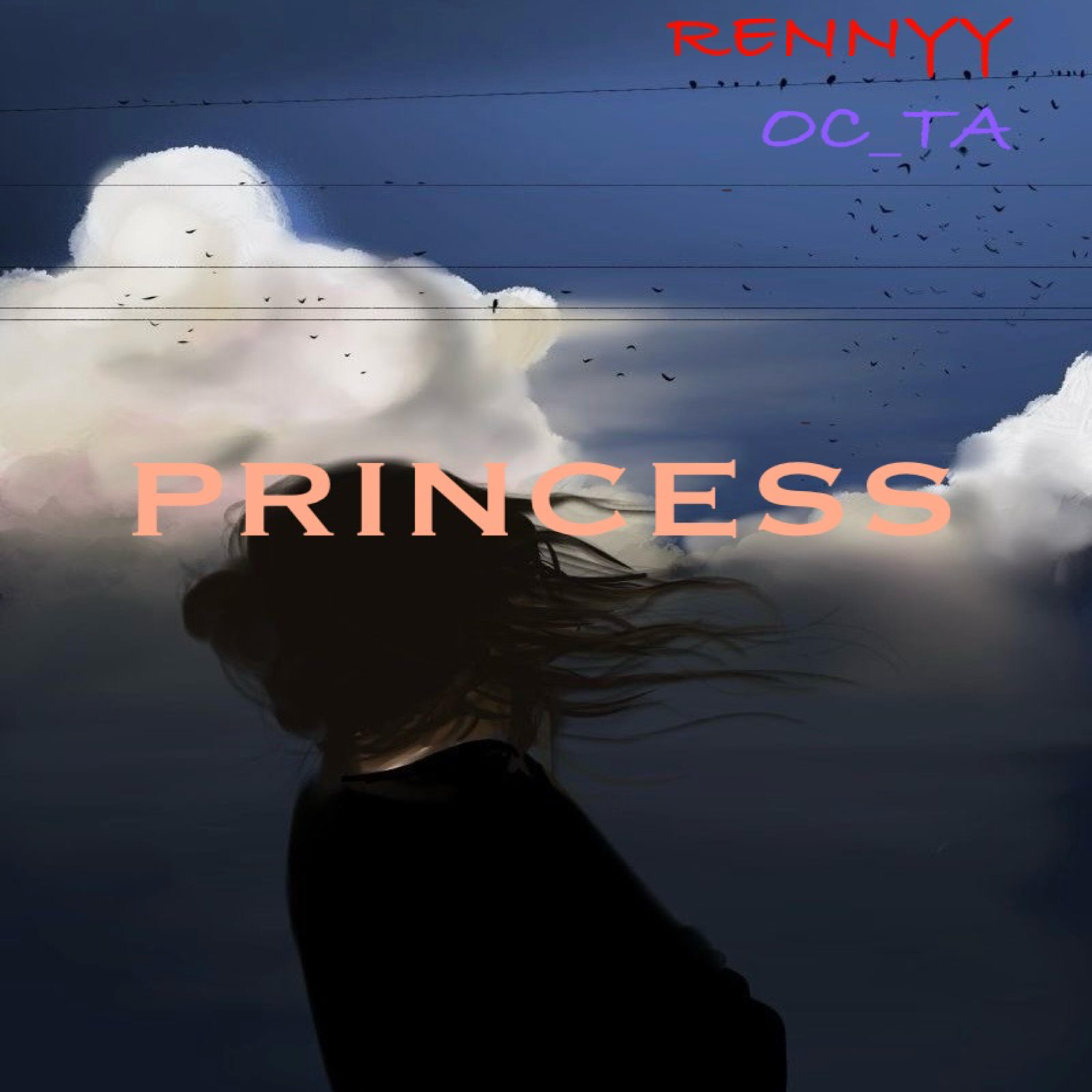 Релиз Princess