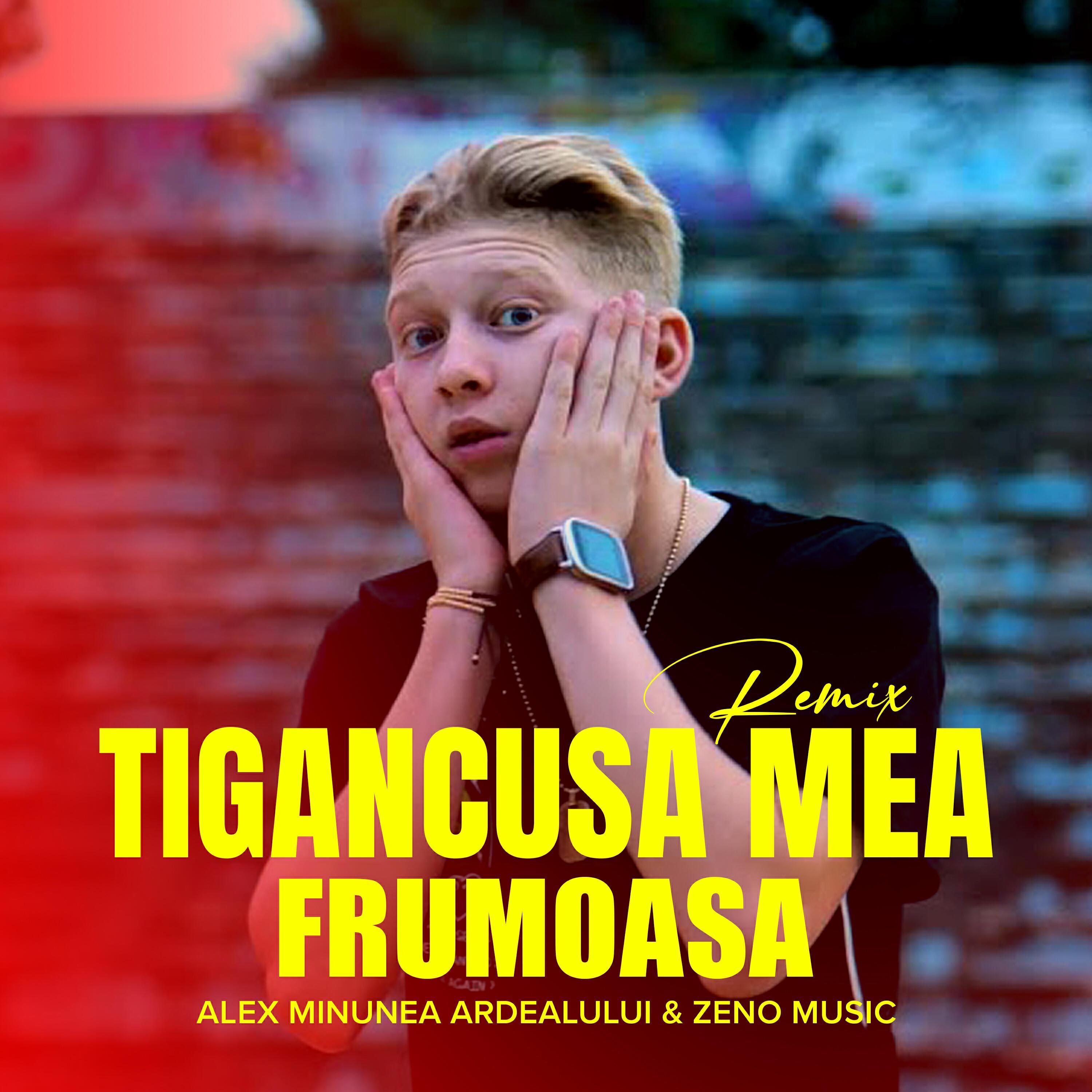Alex Minunea Ardealului