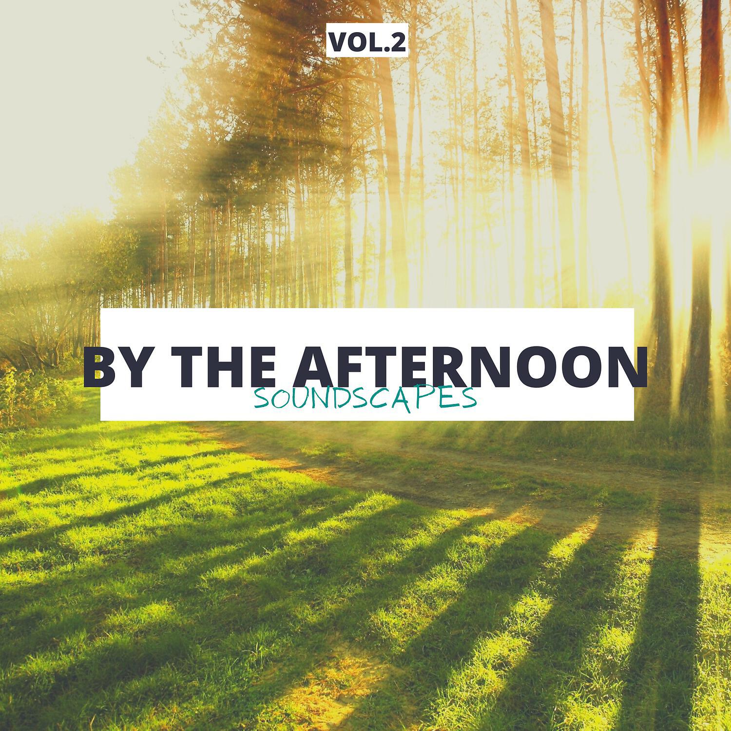 Релиз By the Afternoon Soundscapes, Vol. 2