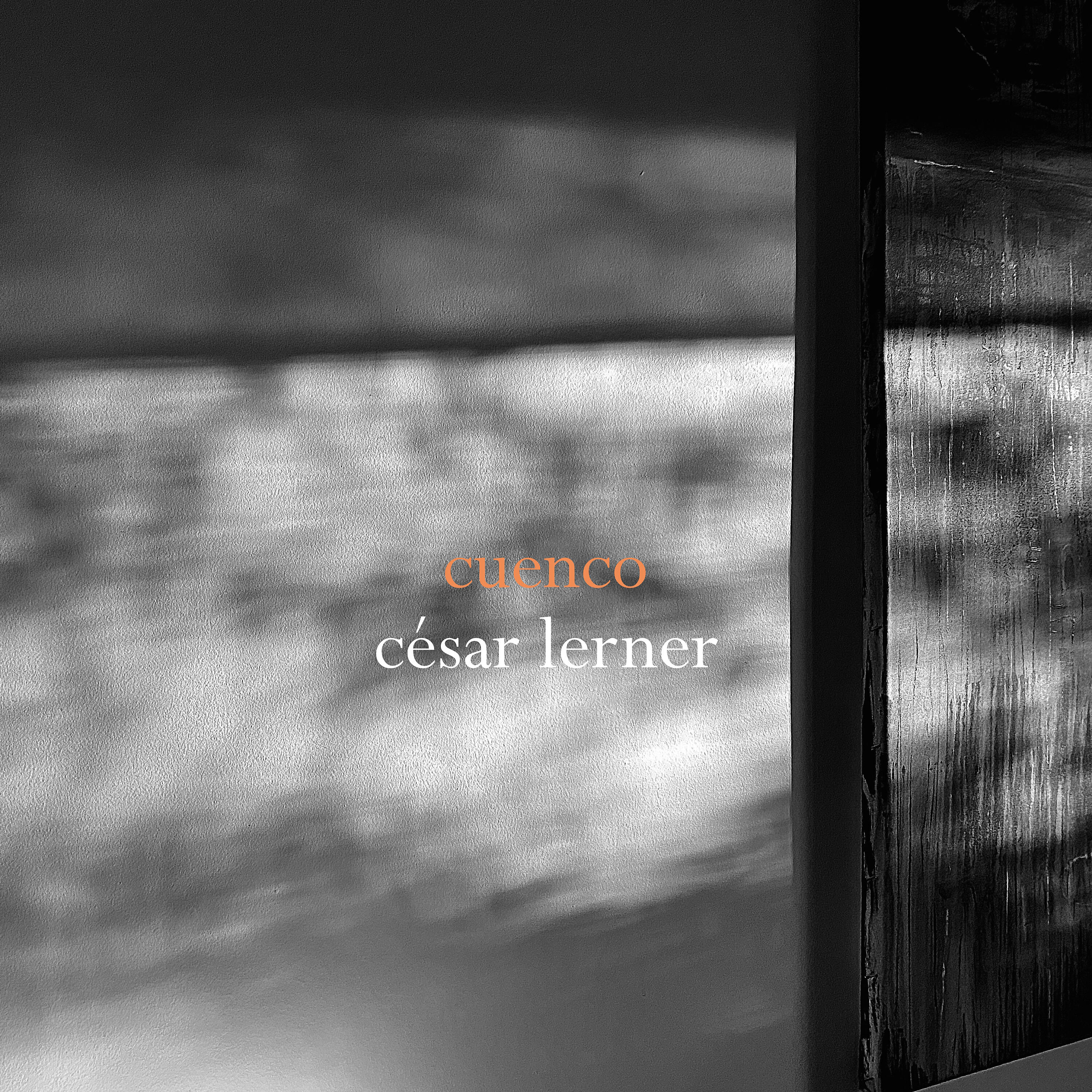 César Lerner