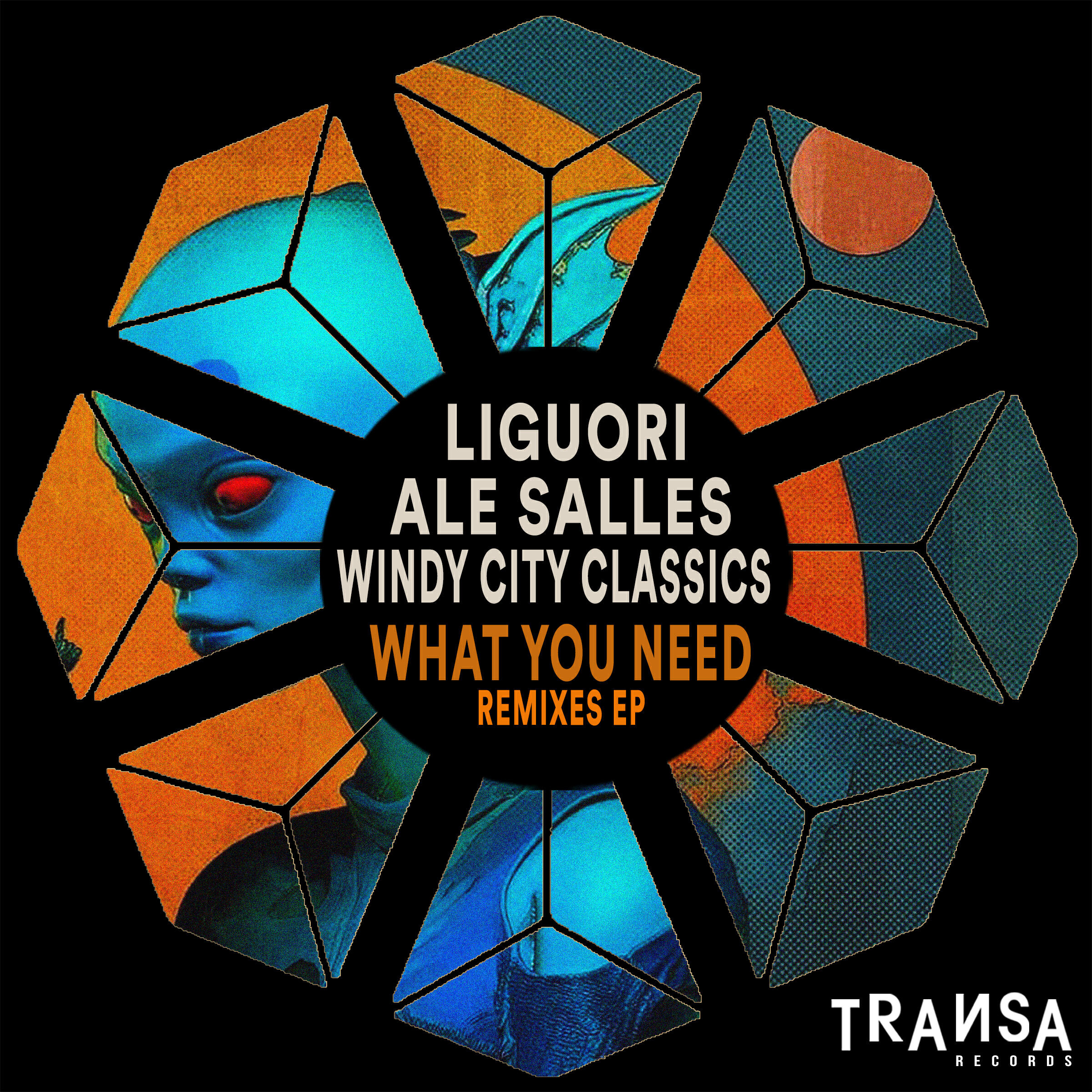 Релиз What You Need (Remixes EP)