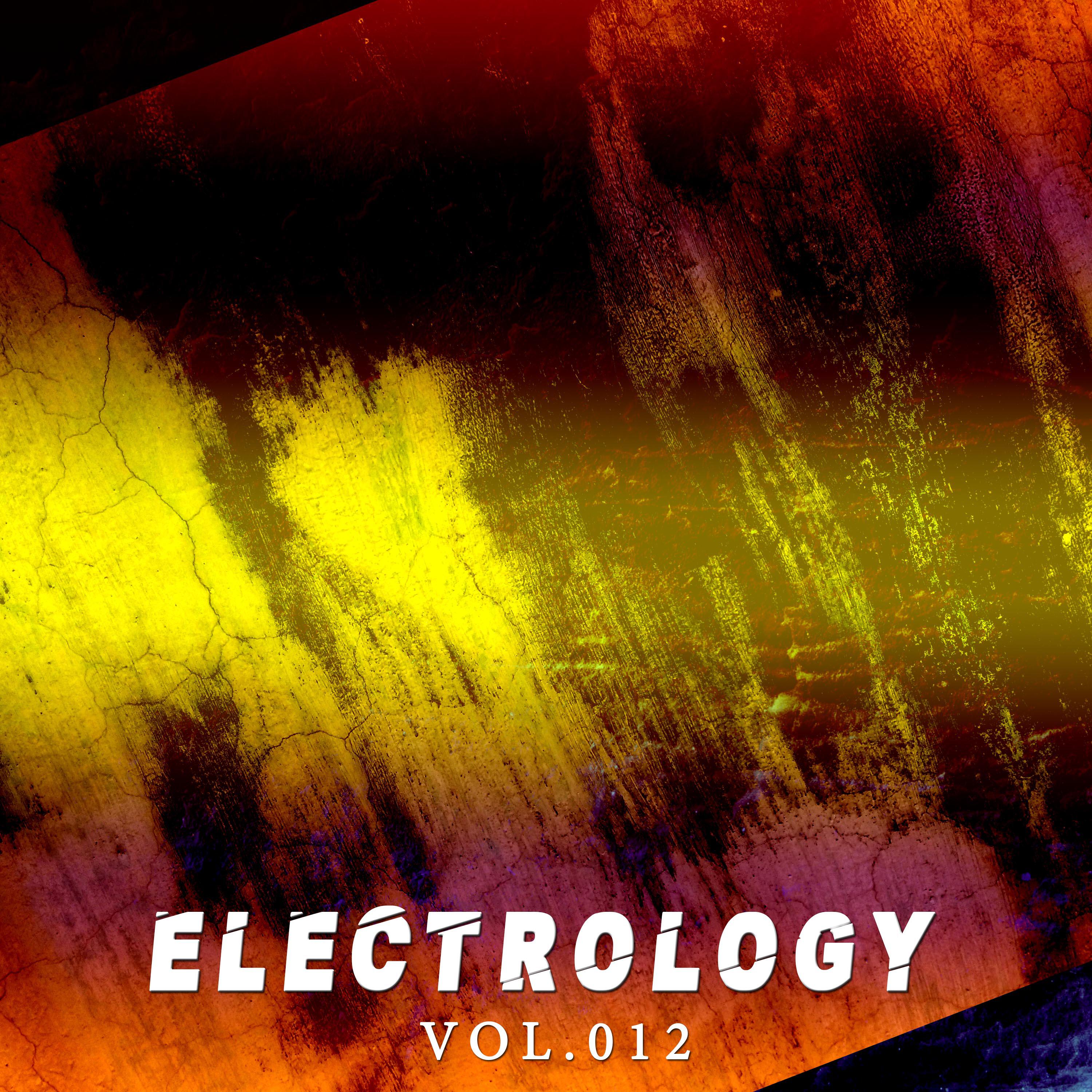 Релиз Electrology, Vol. 012
