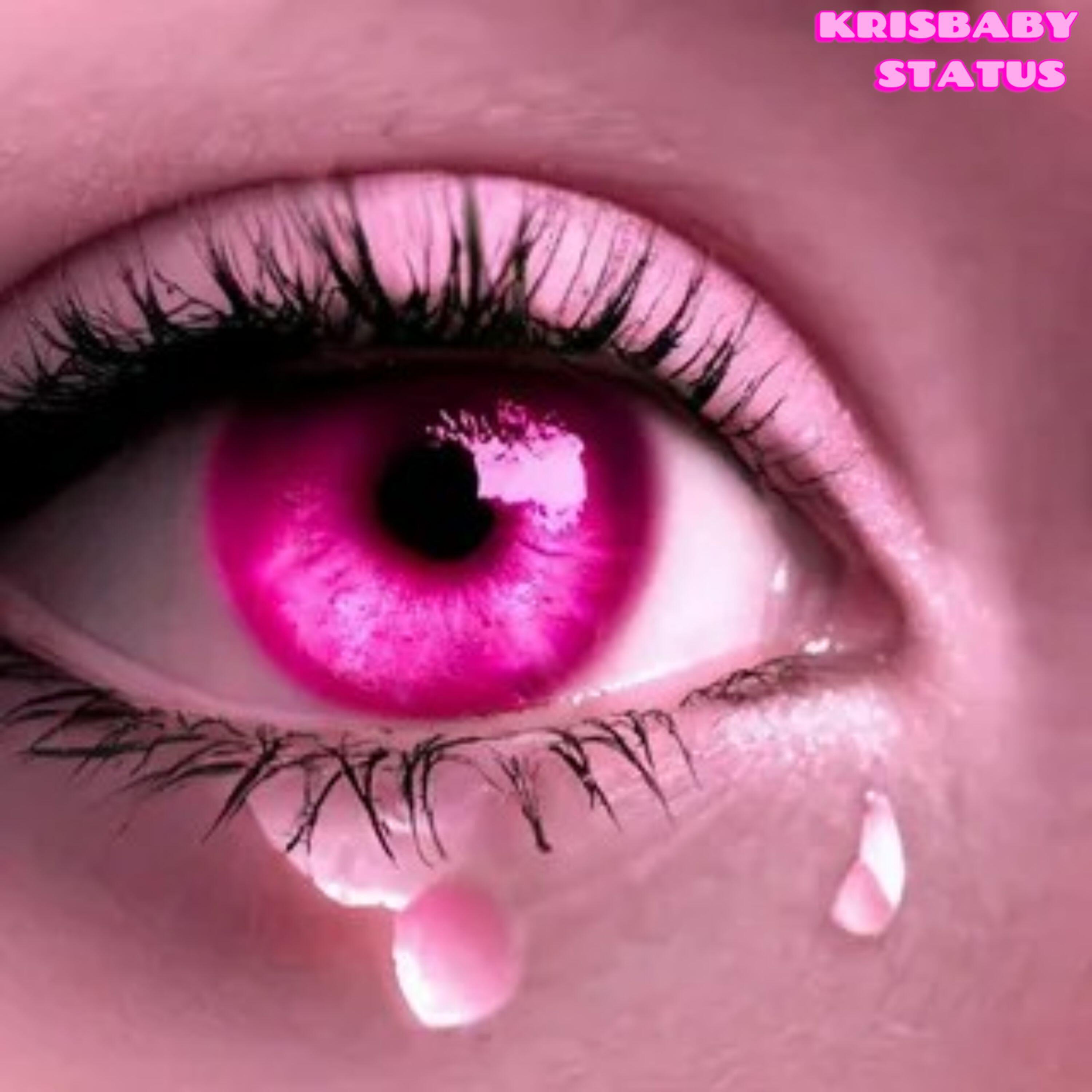 Релиз STATUS
