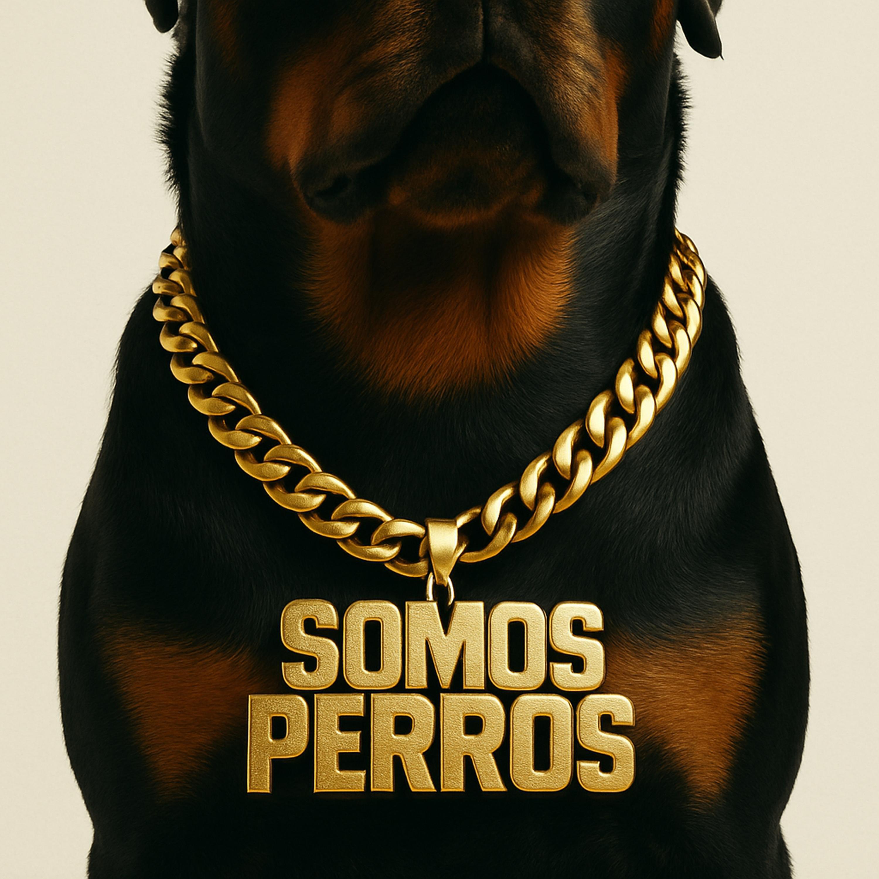 Релиз Somos Perros