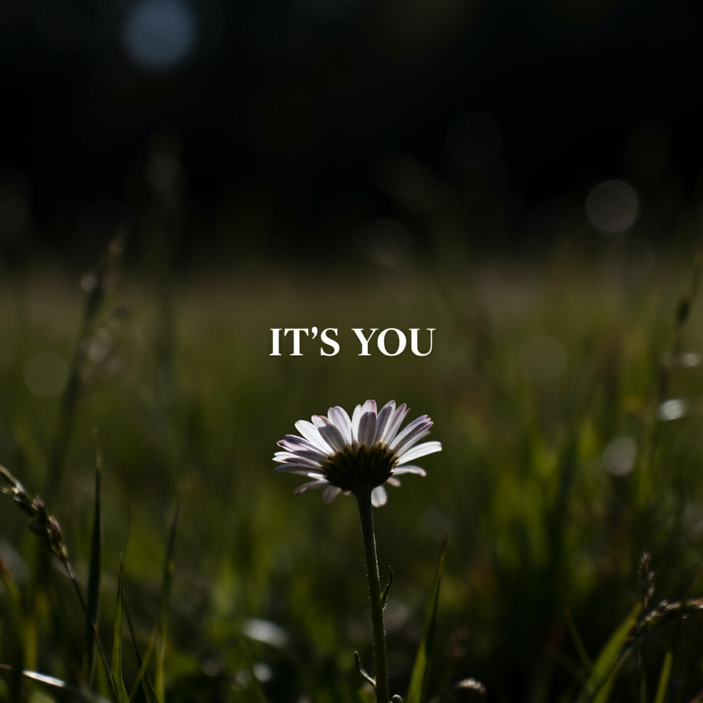 Релиз It's You
