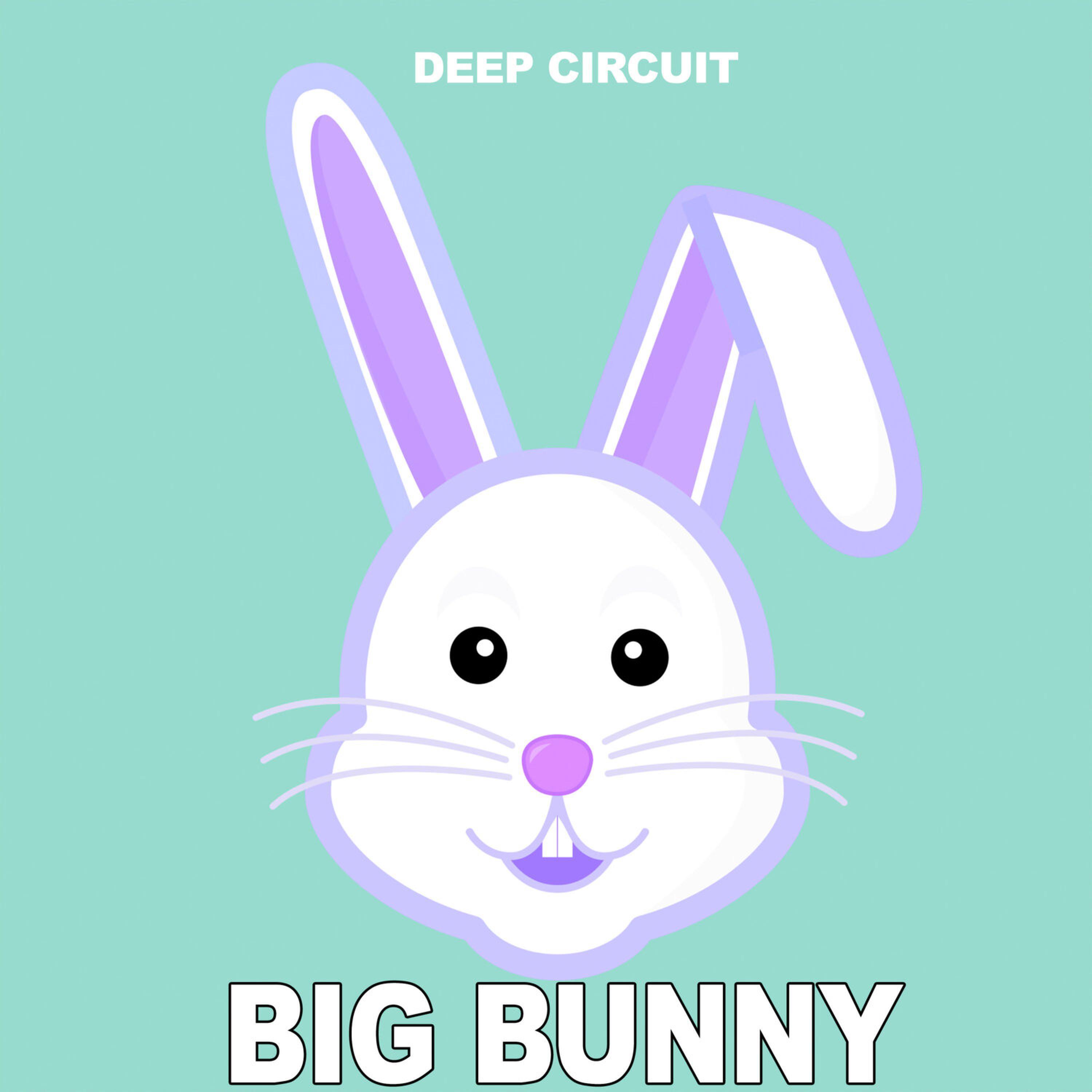 Релиз Deep Circuit