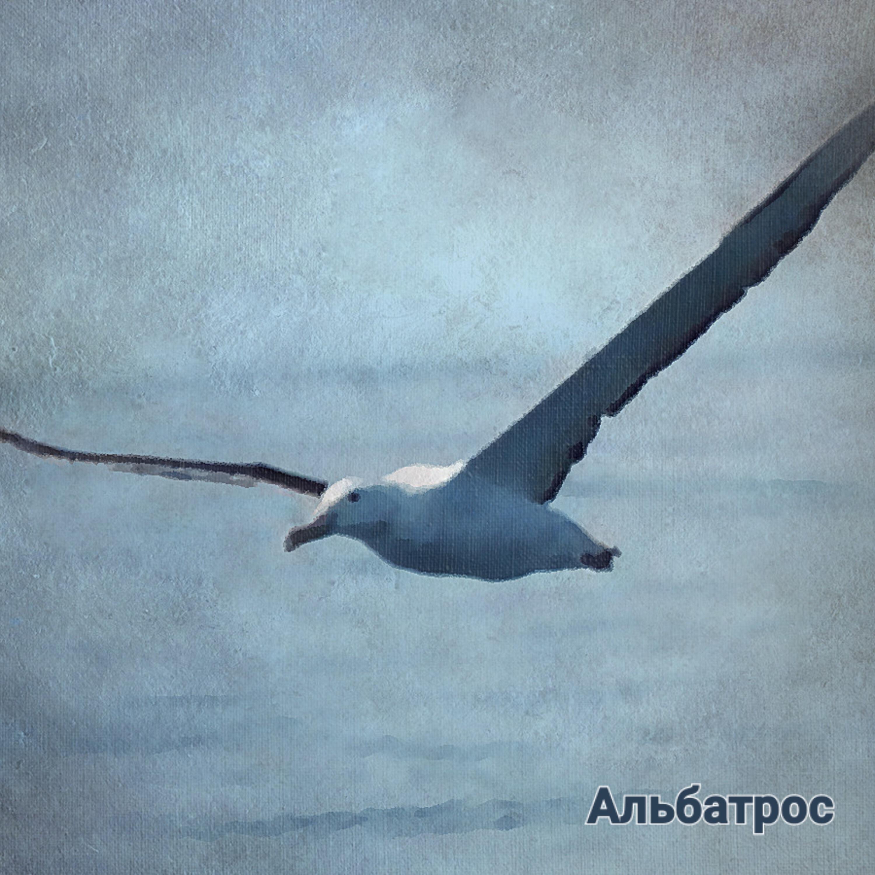 Релиз Альбатрос