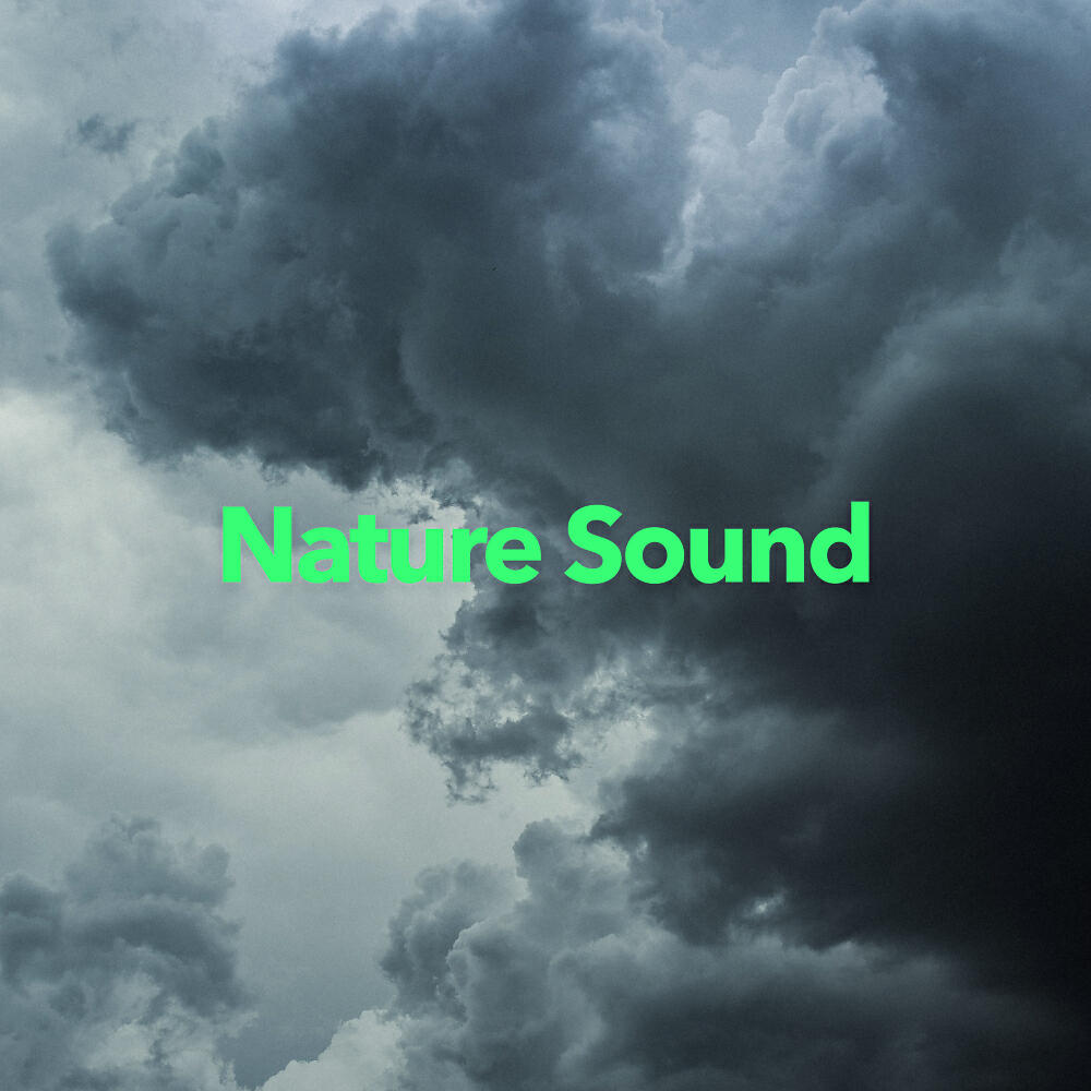 Релиз Nature Sound