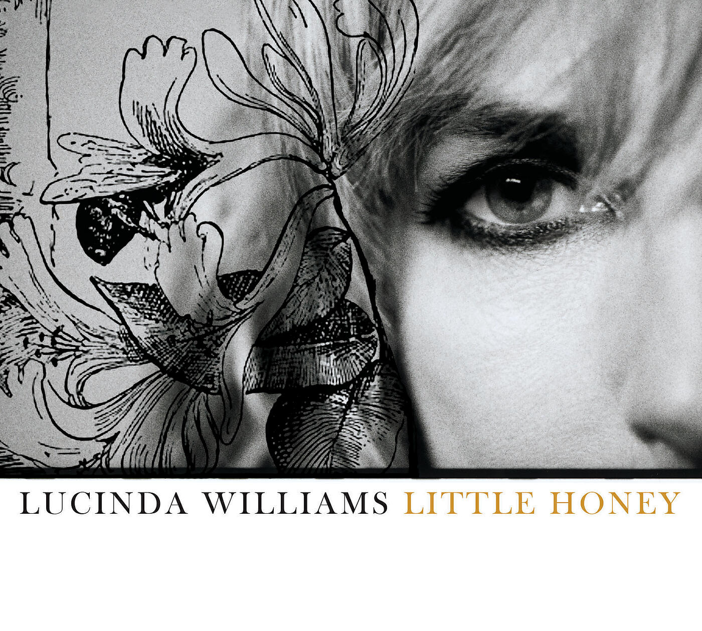Релиз Little Honey