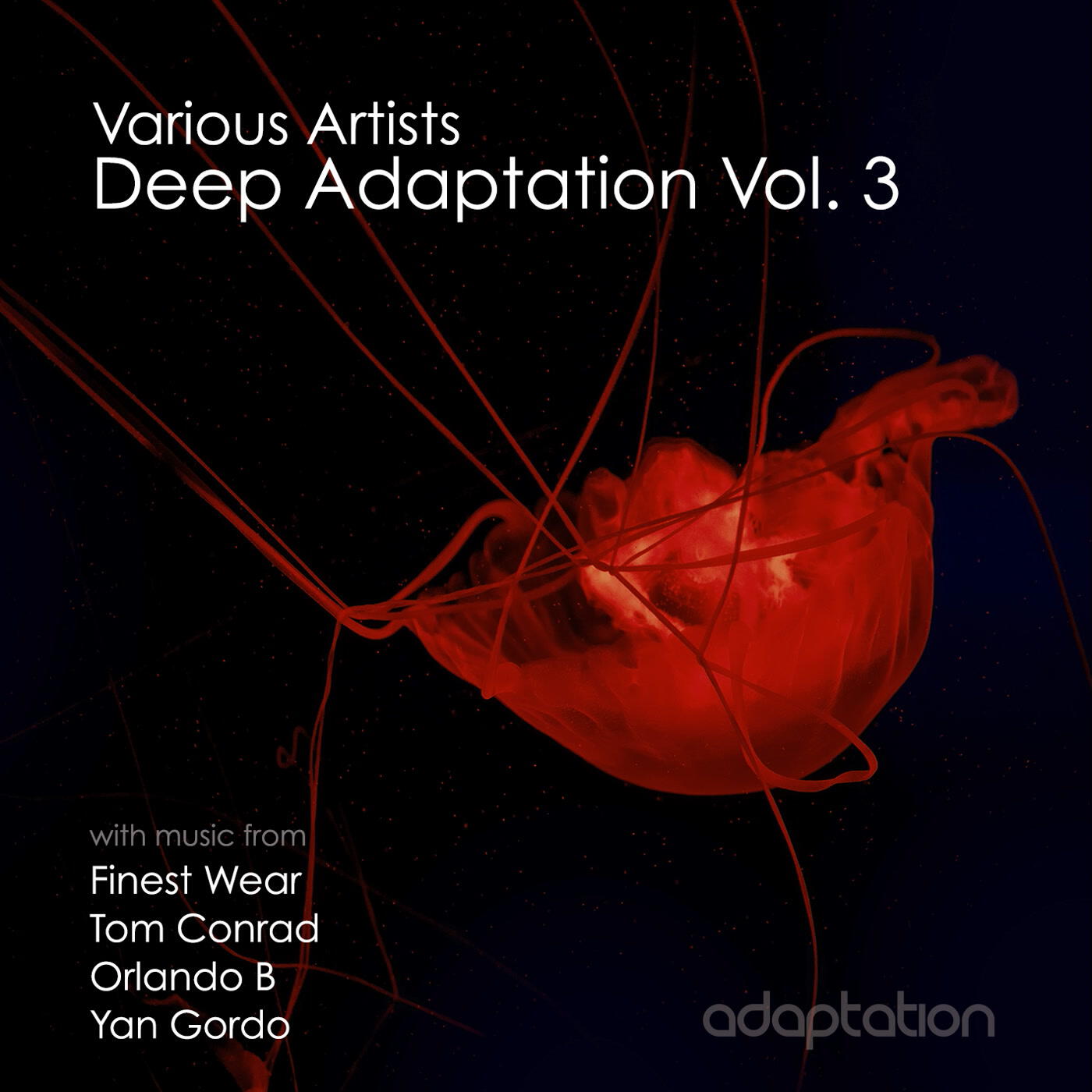 Релиз Deep Adaptation, Vol. 3