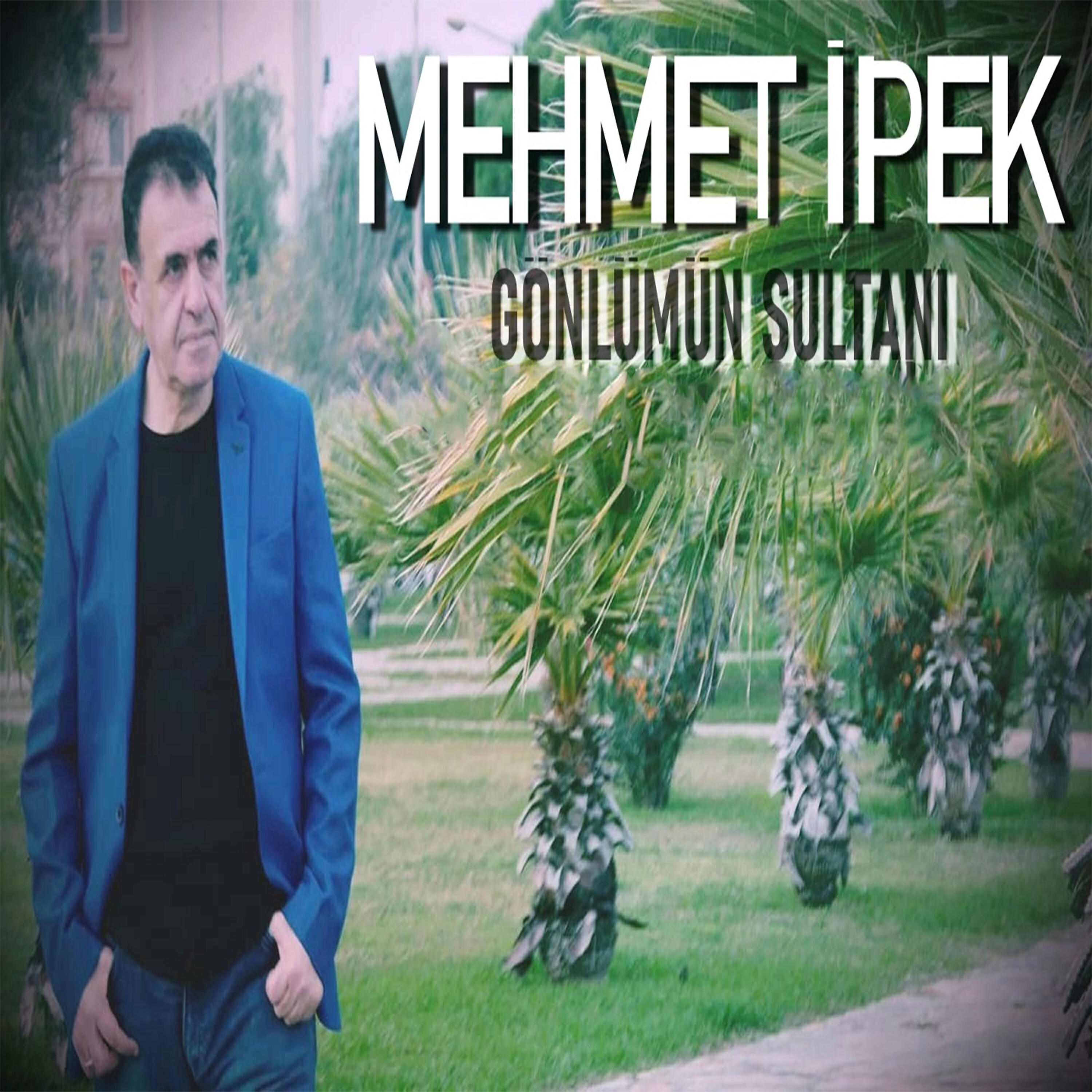 Релиз Gönlümün Sultanı