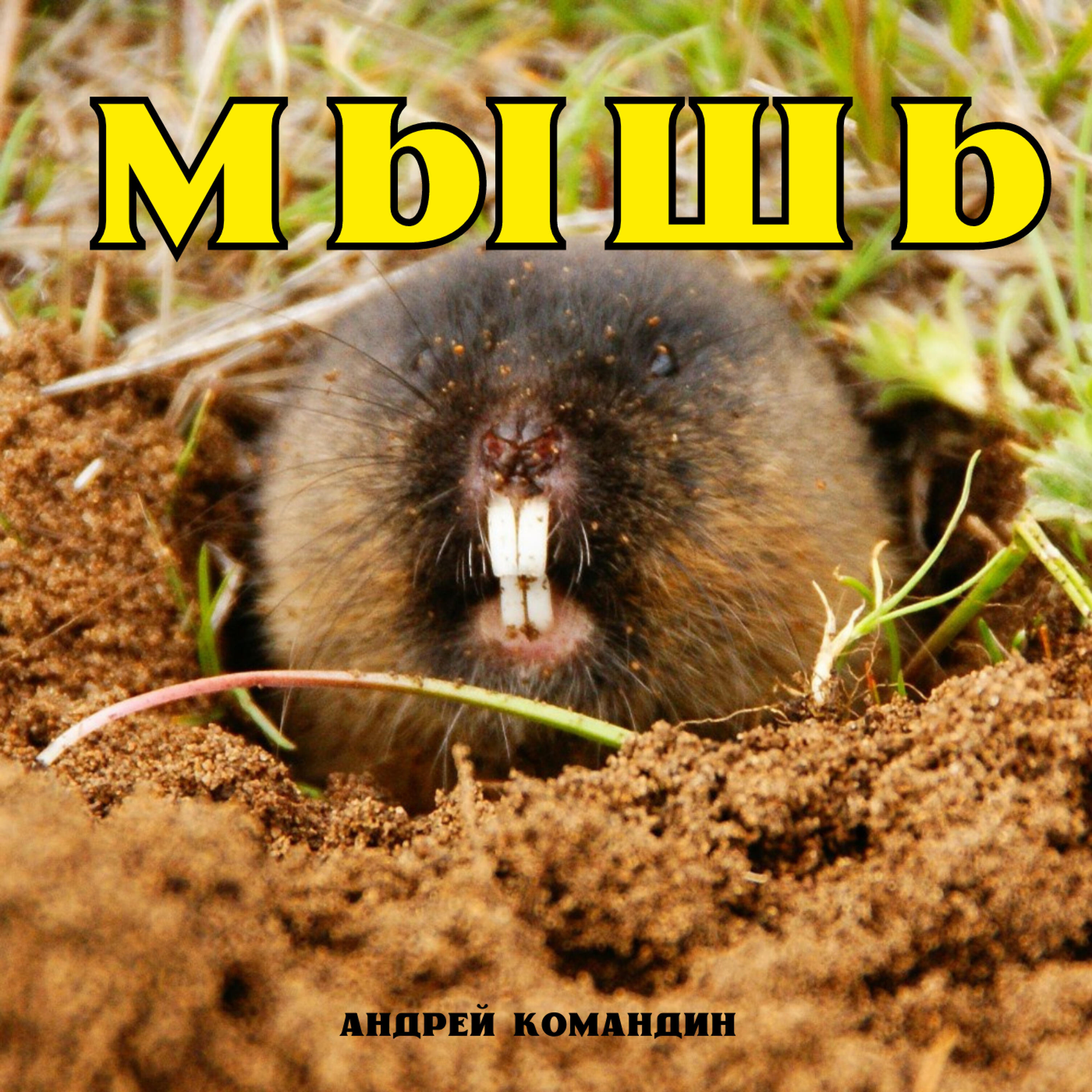 Релиз Мышь