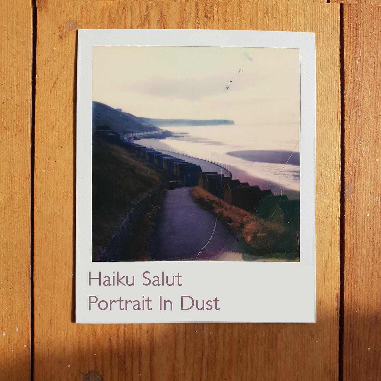Релиз Portrait In Dust