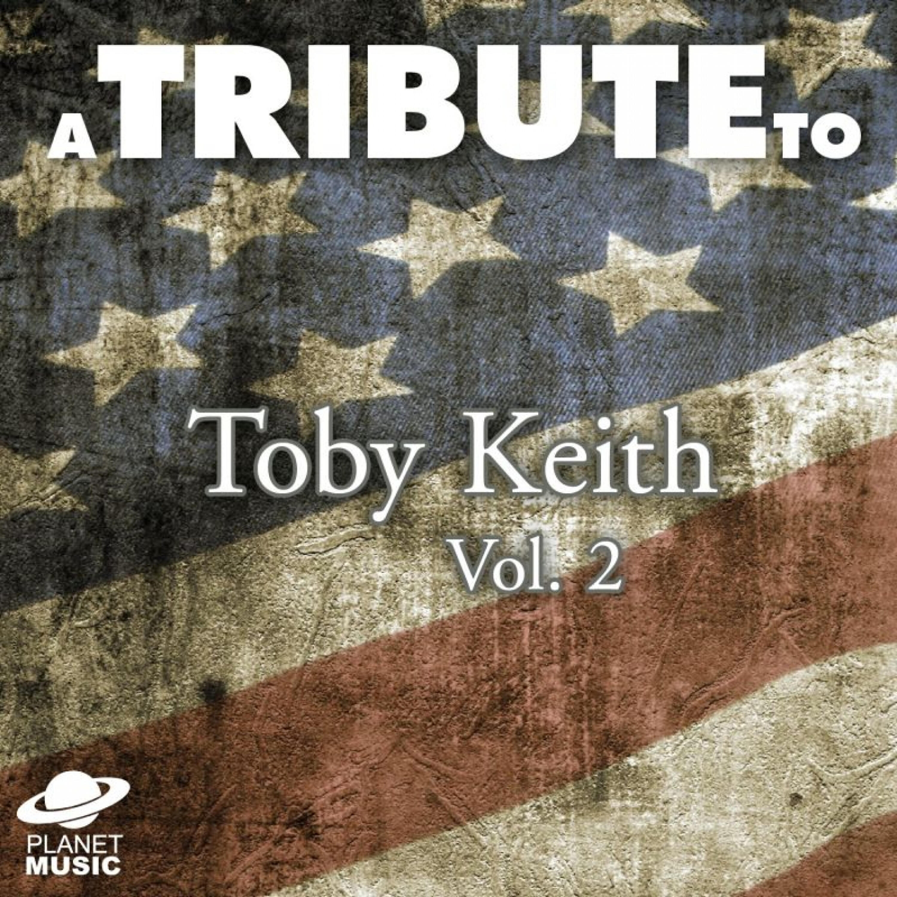 Релиз A Tribute to Toby Keith, Vol. 2