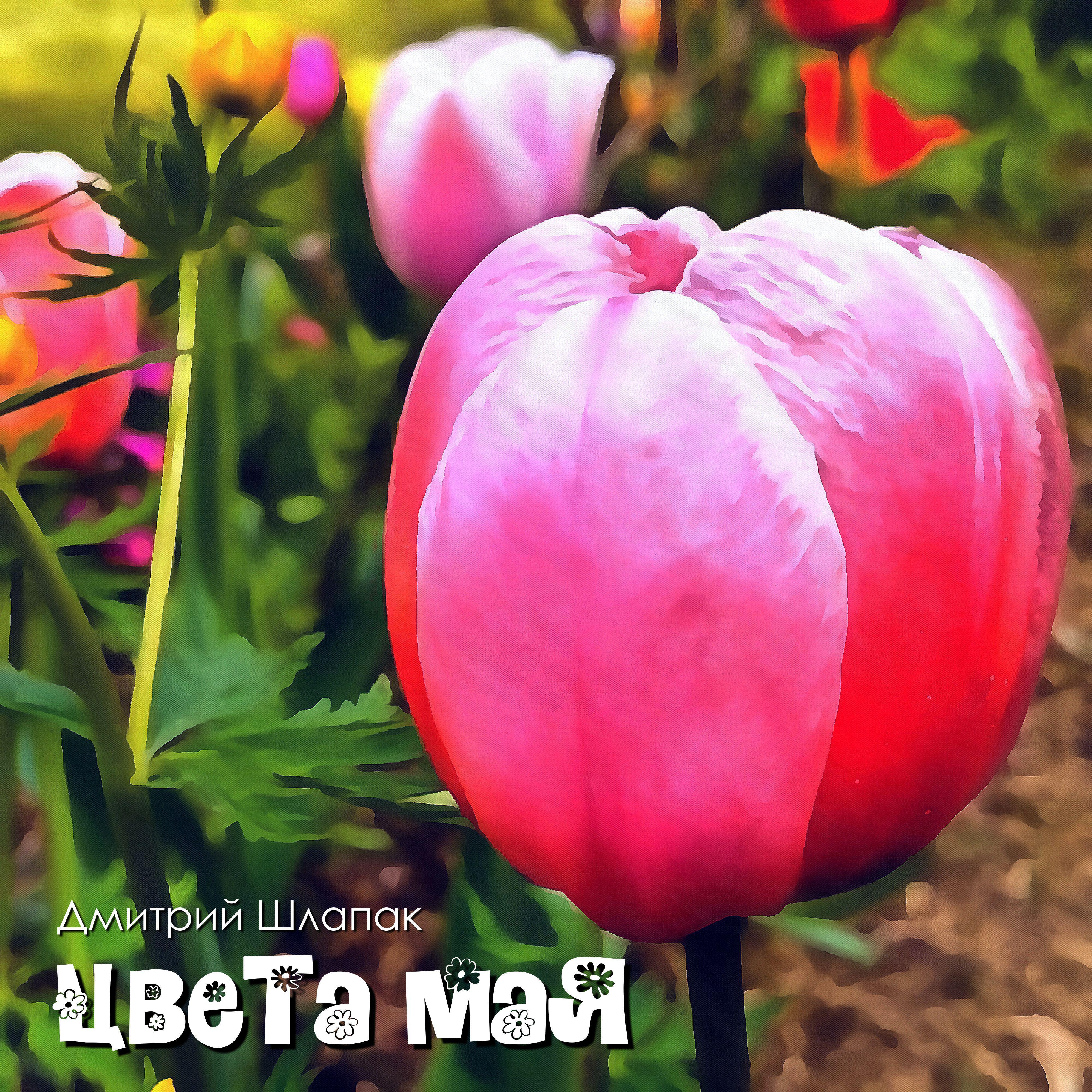 Релиз Цвета мая