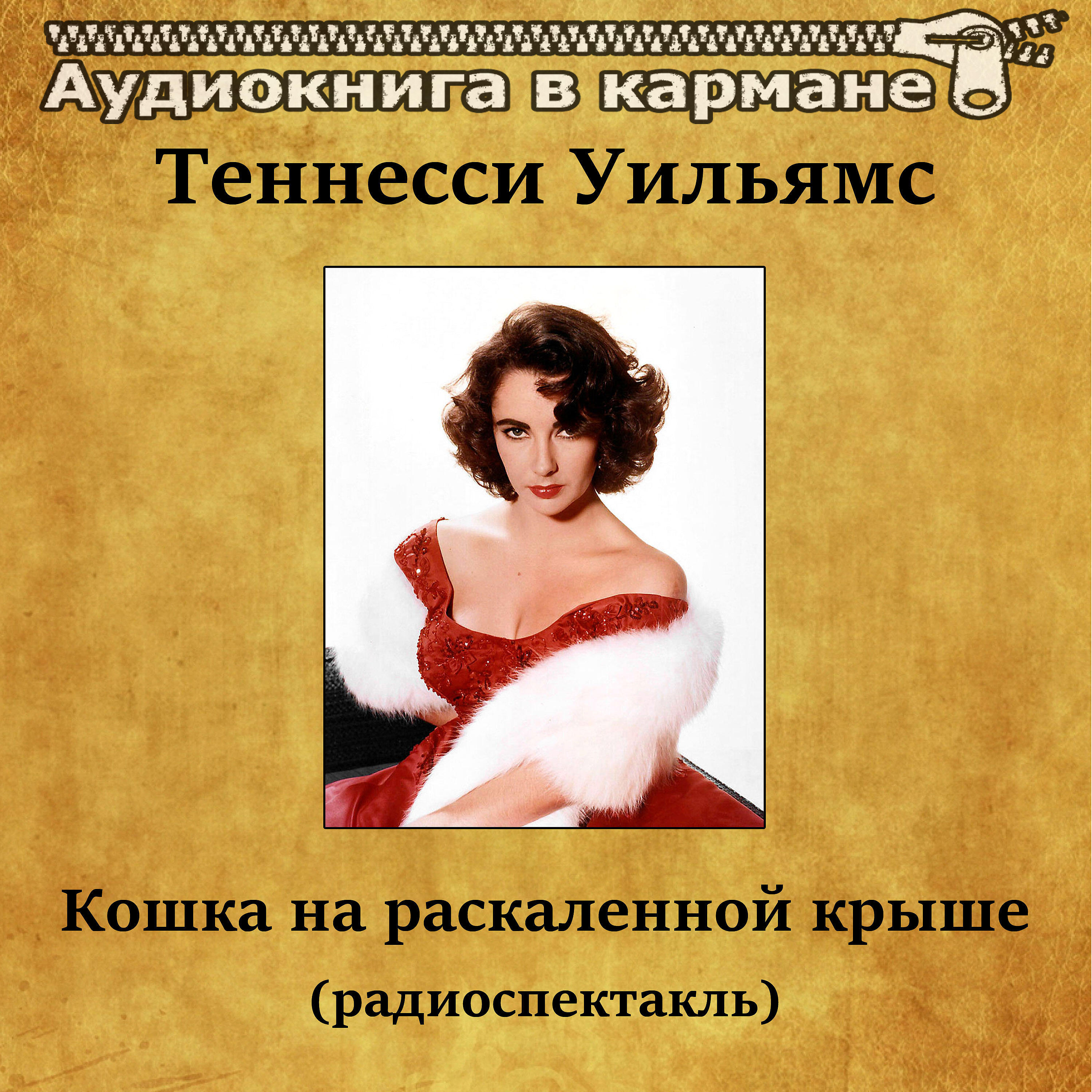 Книга Кошка на раскаленной крыше (радиоспектакль)