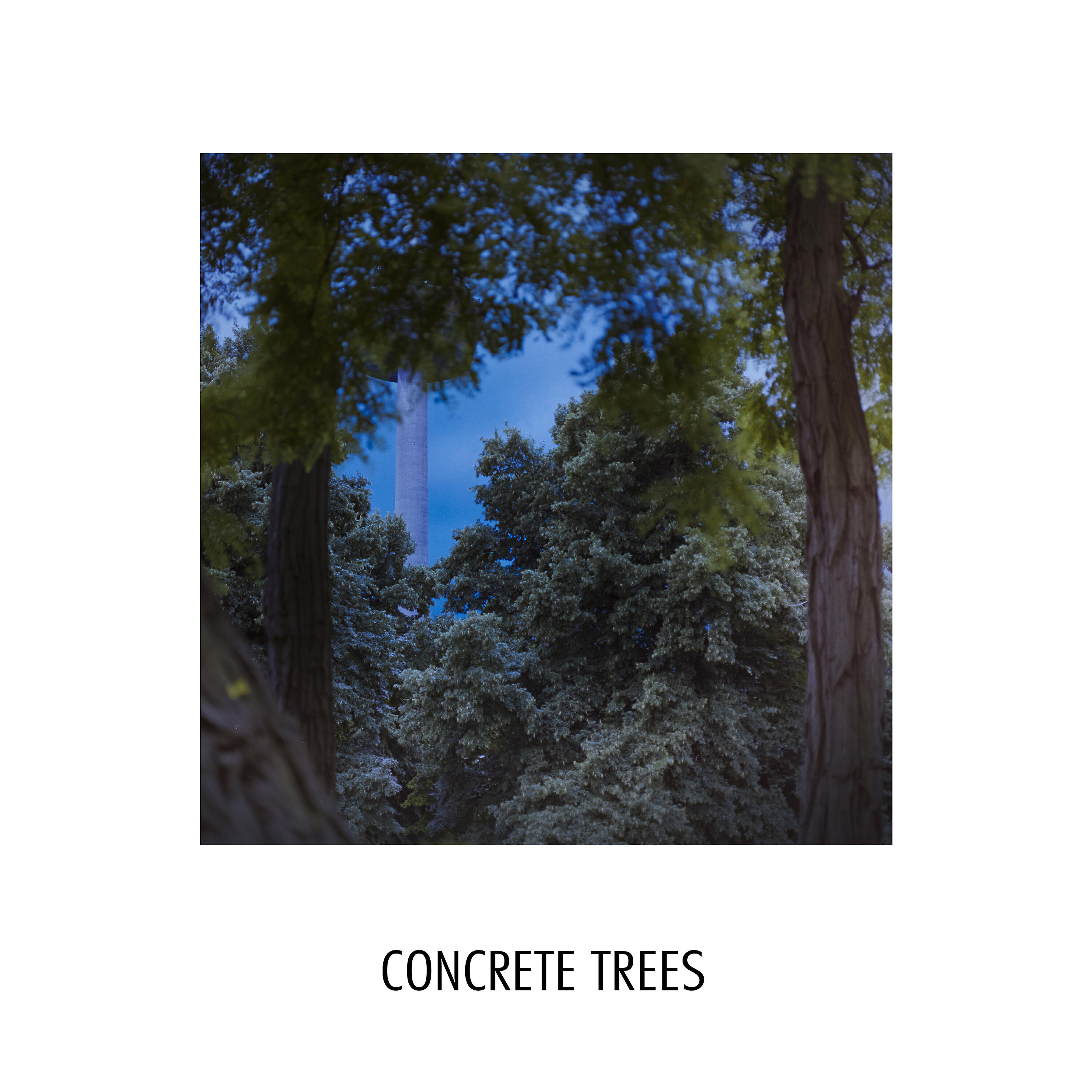 Релиз Concrete Trees