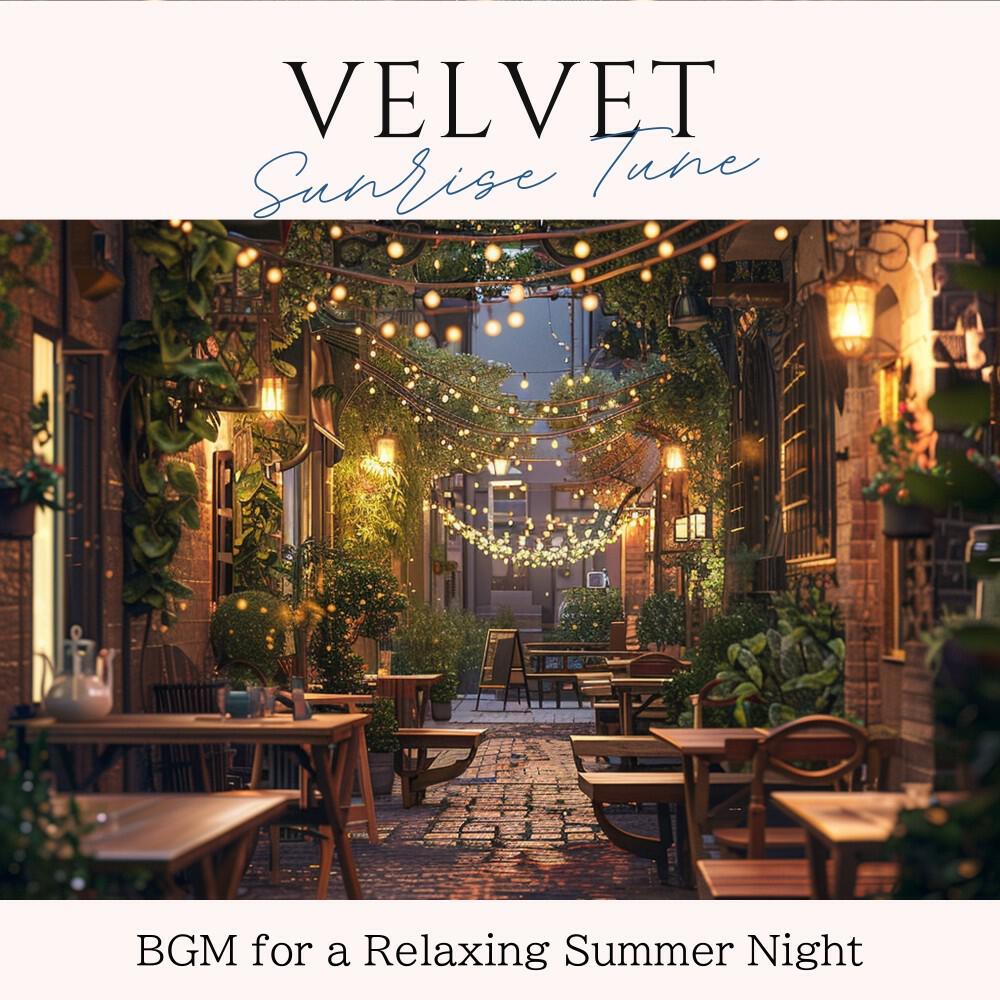 Релиз Bgm for a Relaxing Summer Night