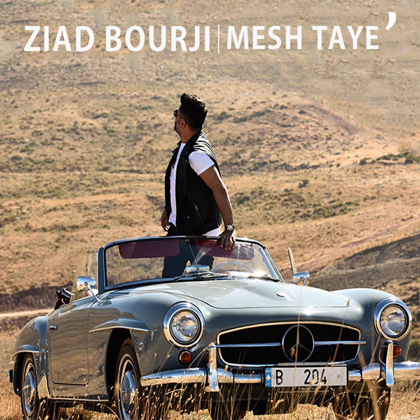 Релиз Mesh Taye'