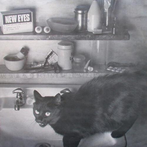 Релиз Black Cat's Eyes
