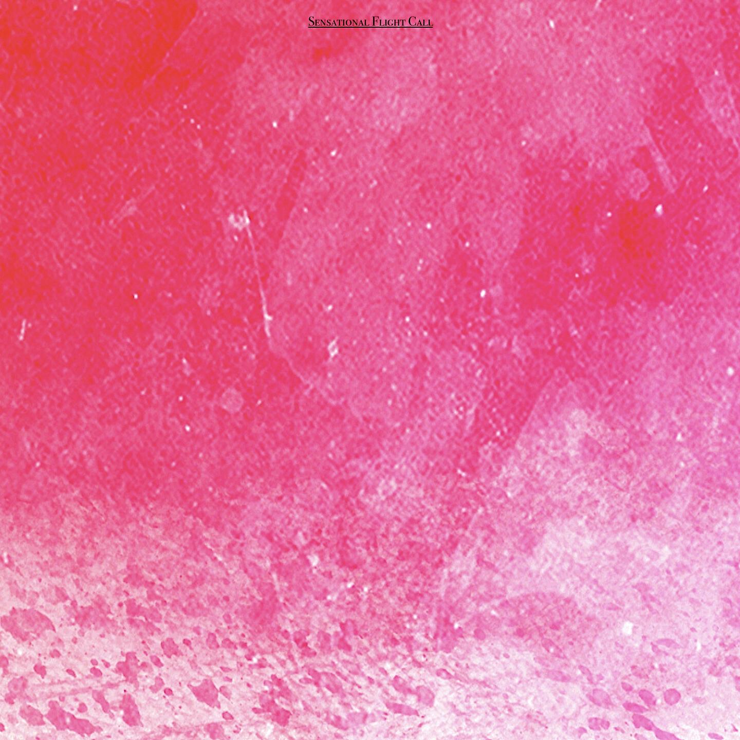 Релиз Sensational Flight Call