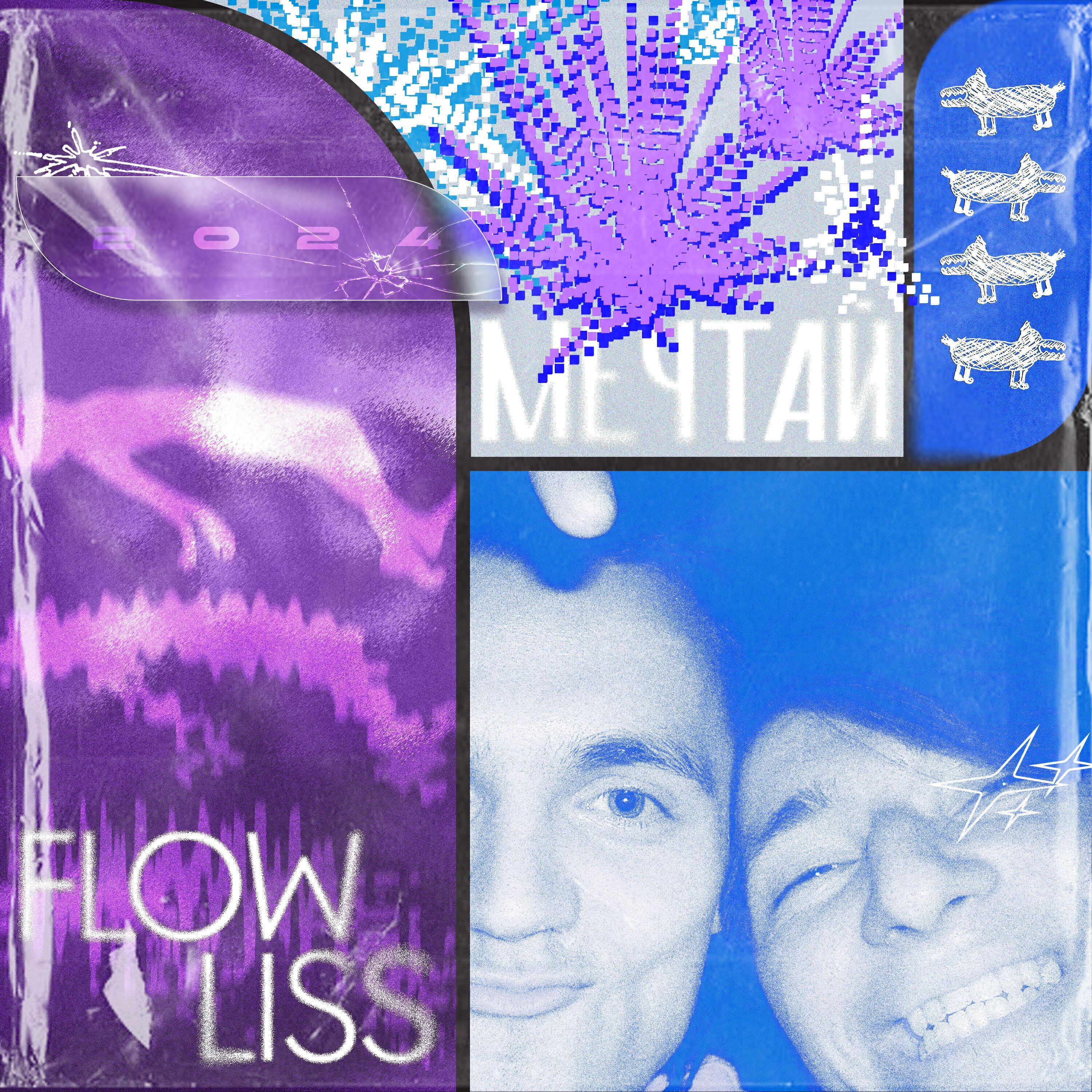 FlowLiss